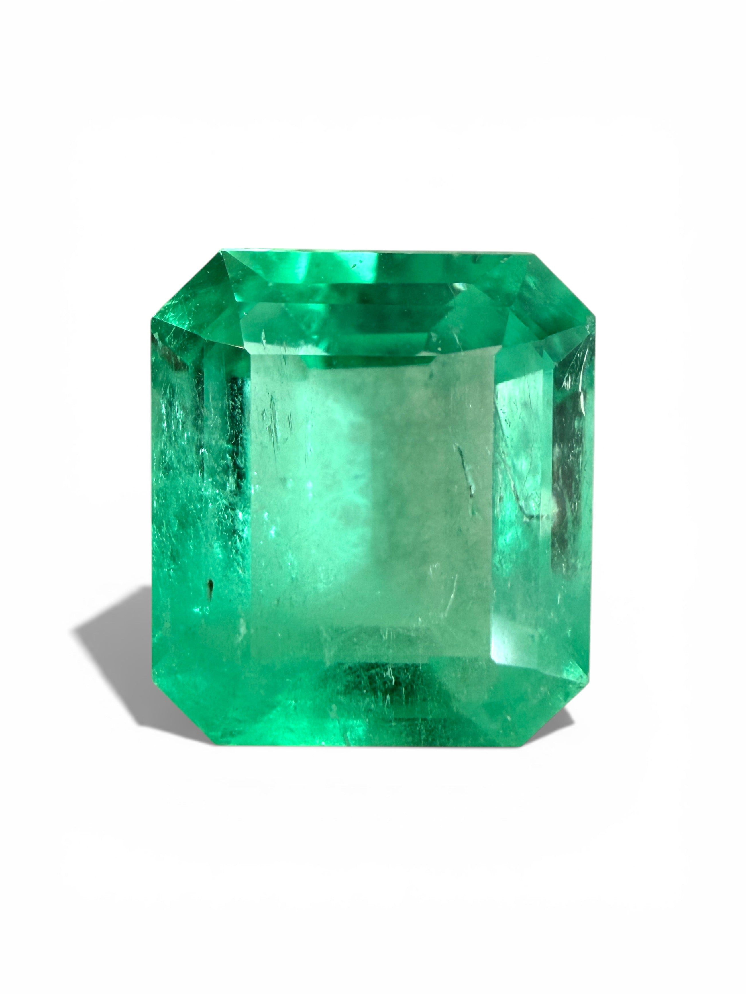 3.72 Carat 10x9 Spring Green Natural Loose Colombian Emerald-Emerald Cut