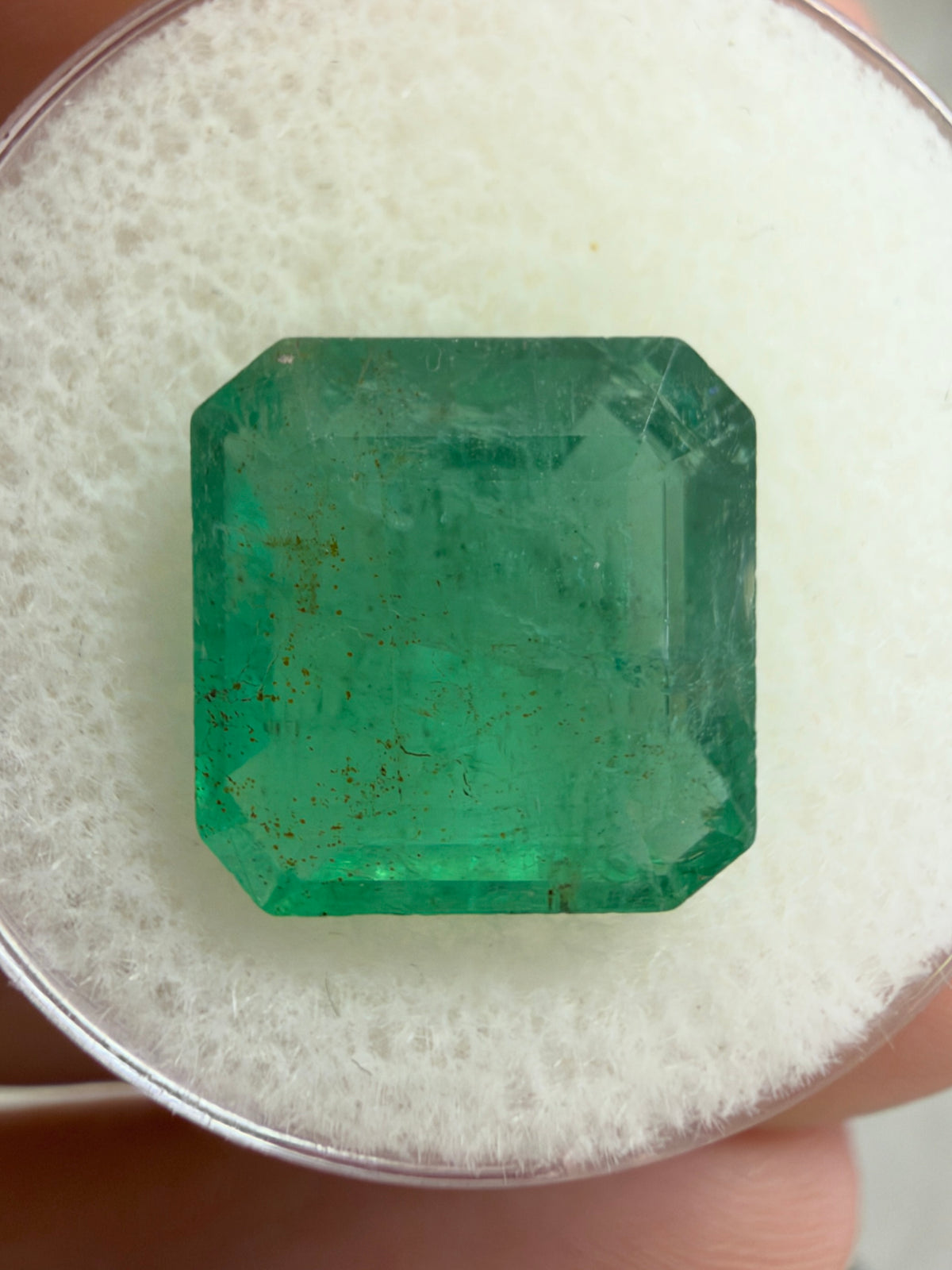 7.14 Carat 12×11.6 Zambian Bluish-Green Large Natural Loose Emerald- Asscher Cut