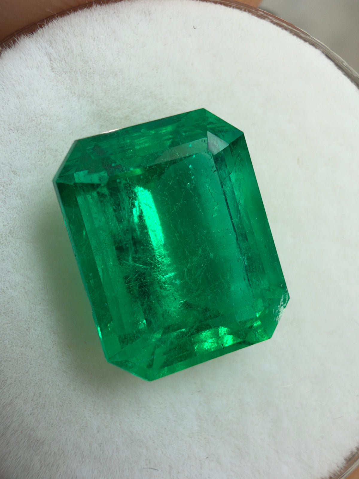 3.88 Carat 10.5x8 Classic Muzo Colombian Emerald-Emerald Cut