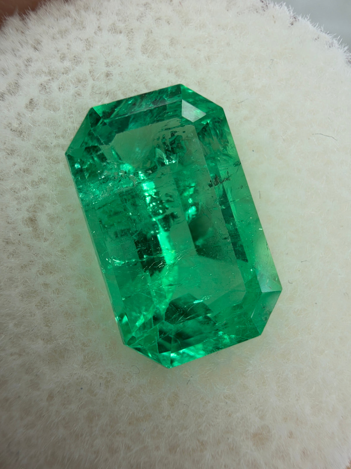 3.71 Carat 12x8 Gemmy Elongated Green Natural Loose Colombian Emerald- Emerald Cut