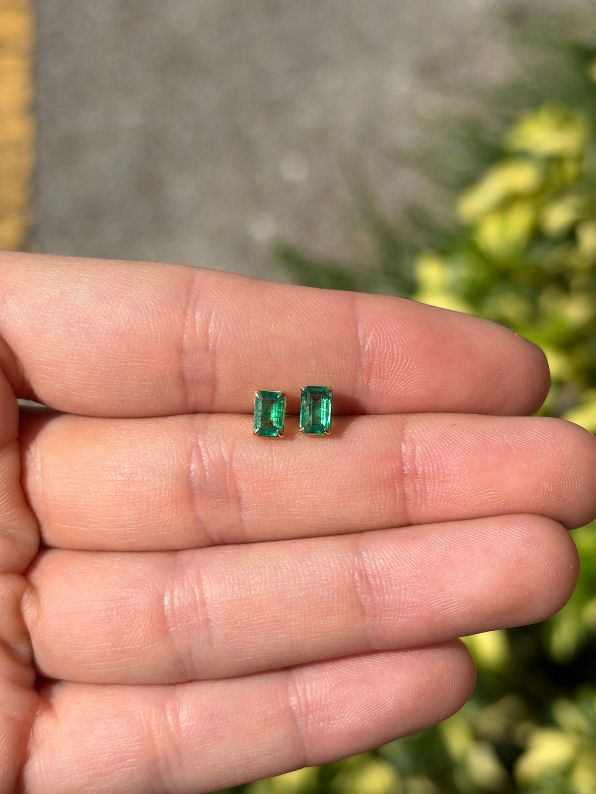 Medium green Zambian emerald cut stud earrings with 1.0tcw total weight in 14K gold, featuring square-shaped emeralds from JR Colombian Emeralds.