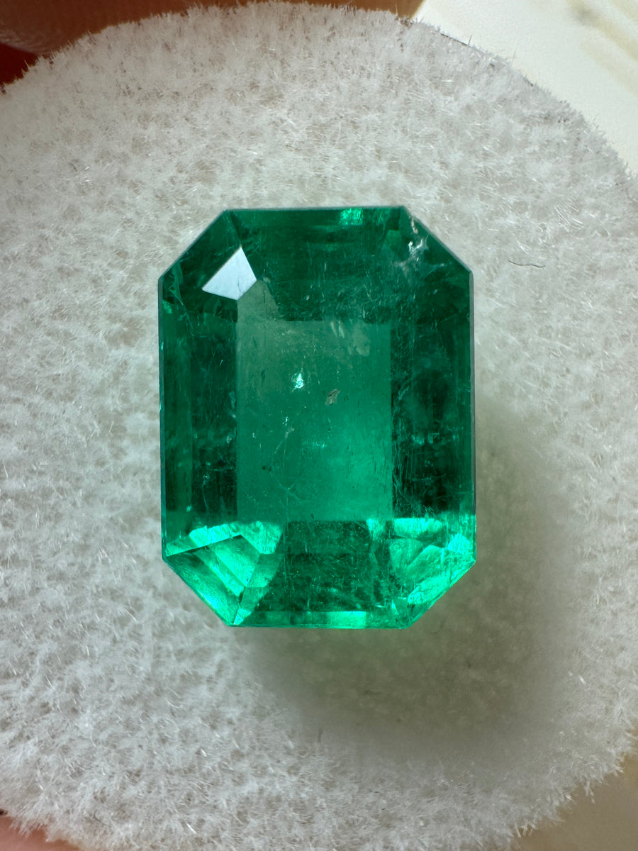 3.88 Carat 11x8 GLOWING Green Natural Loose Colombian Emerald-Emerald Cut