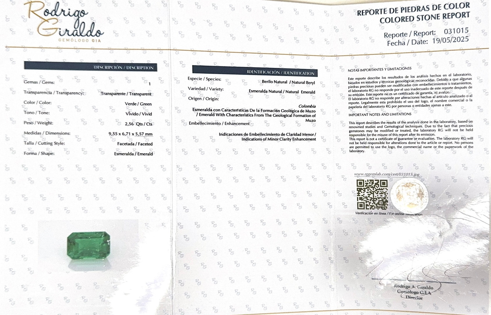 2.56 Carat AAA+ 9.5x7 Minor Oil Vivid Green Natural Loose Colombian Emerald- Emerald Cut - JR Colombian Emeralds