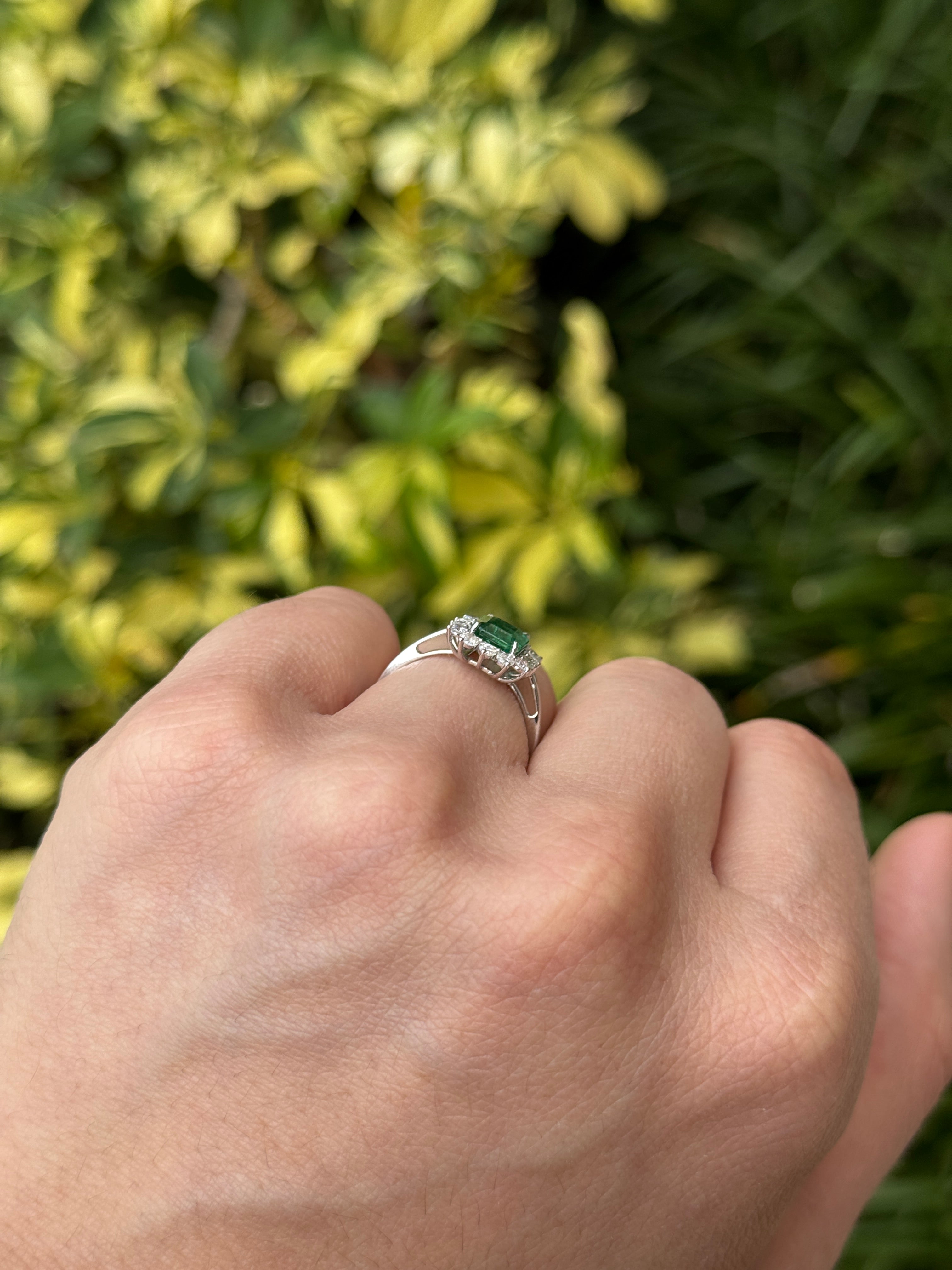 JR Colombian Emeralds 14K white gold halo ring with 1.89tcw princess Diana emerald cut Zambian emerald and round diamonds.