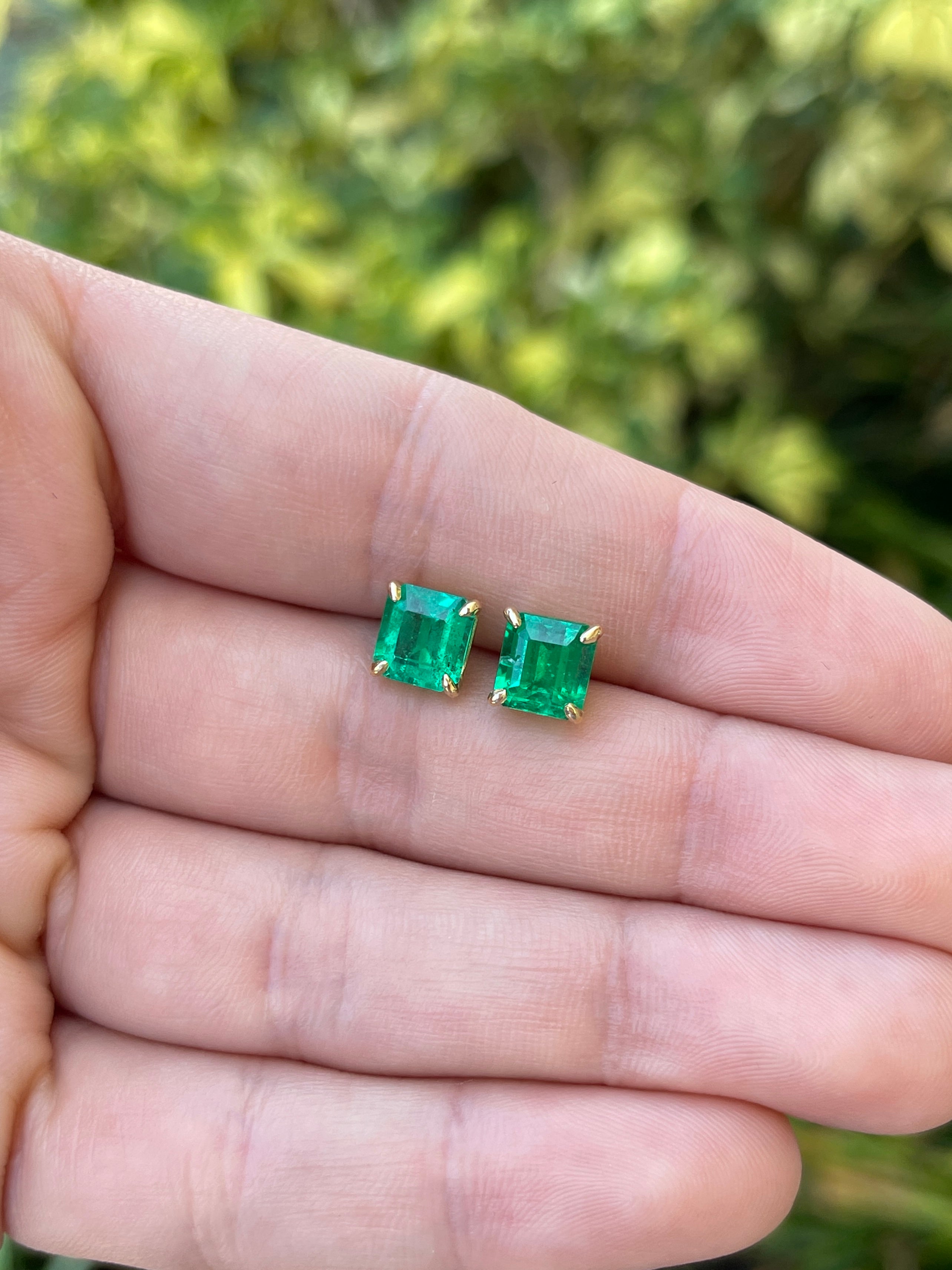 3.18tcw 7x7 AAA+ Muzo Green Asscher Cut Colombian Emerald Studs 18K - JR Colombian Emeralds