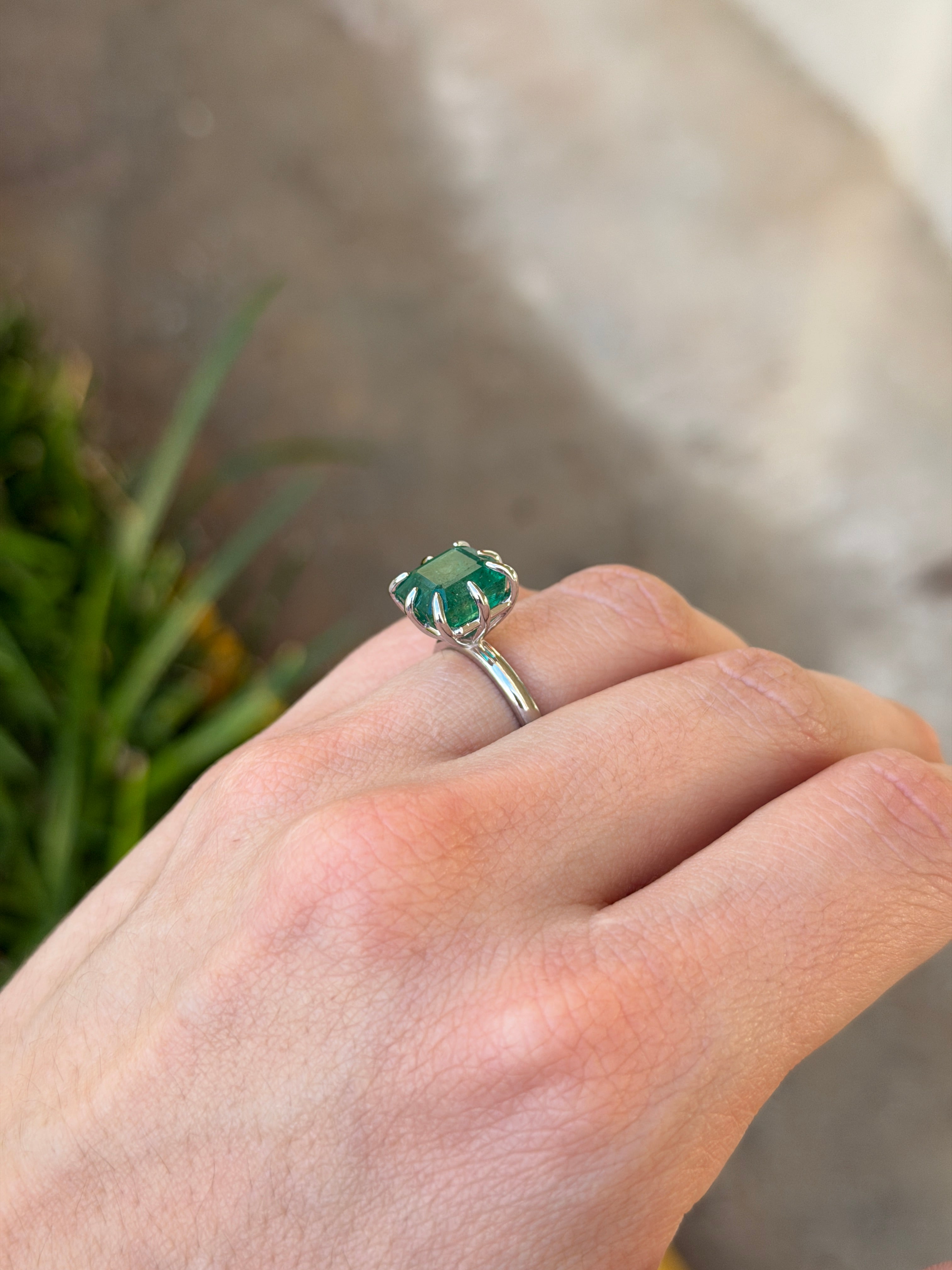 Asscher cut 5.84 carat solitaire diamond ring in 14K white gold with multi prong setting, designed by JR Colombian Emeralds.
