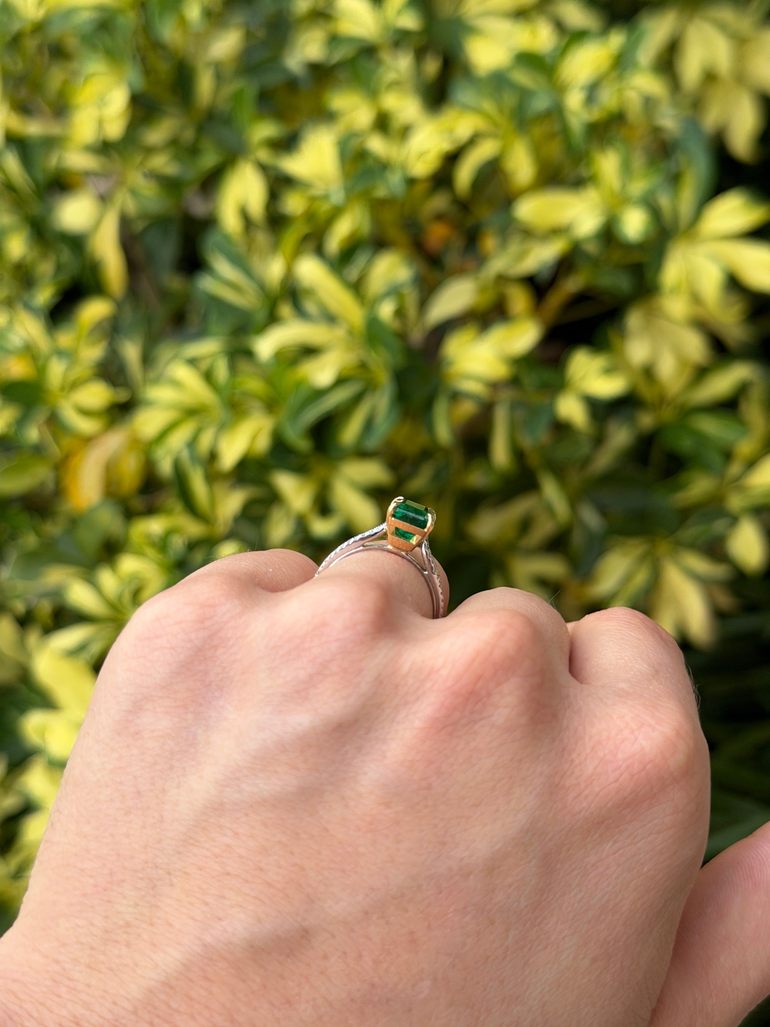 Deep green emerald and diamond split shank engagement ring in 18K gold and platinum by JR Colombian Emeralds.