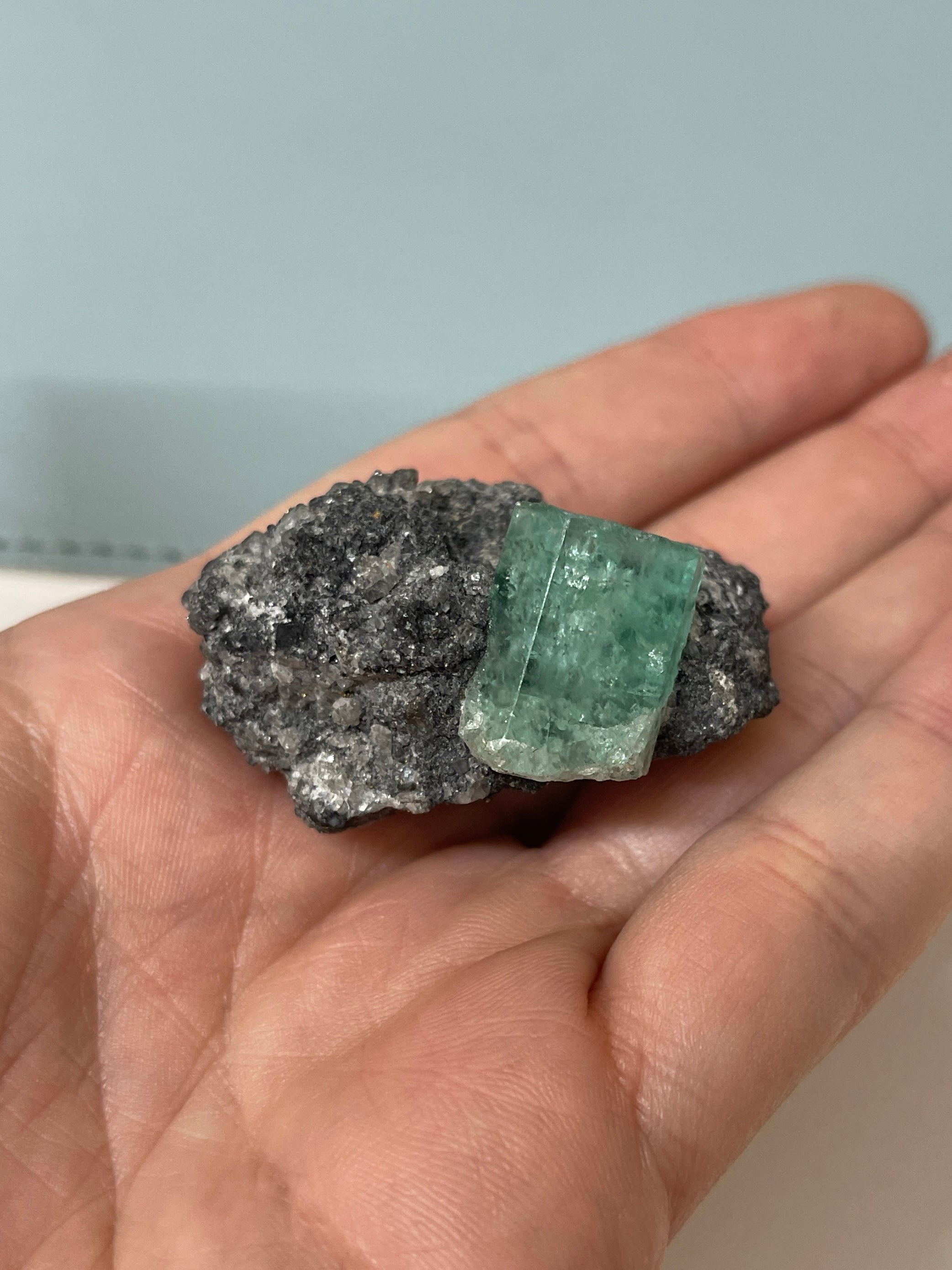 19mm x 14.87mm Single Cut Rough Colombian Emerald In Black Shale Matrix - JR Colombian Emeralds