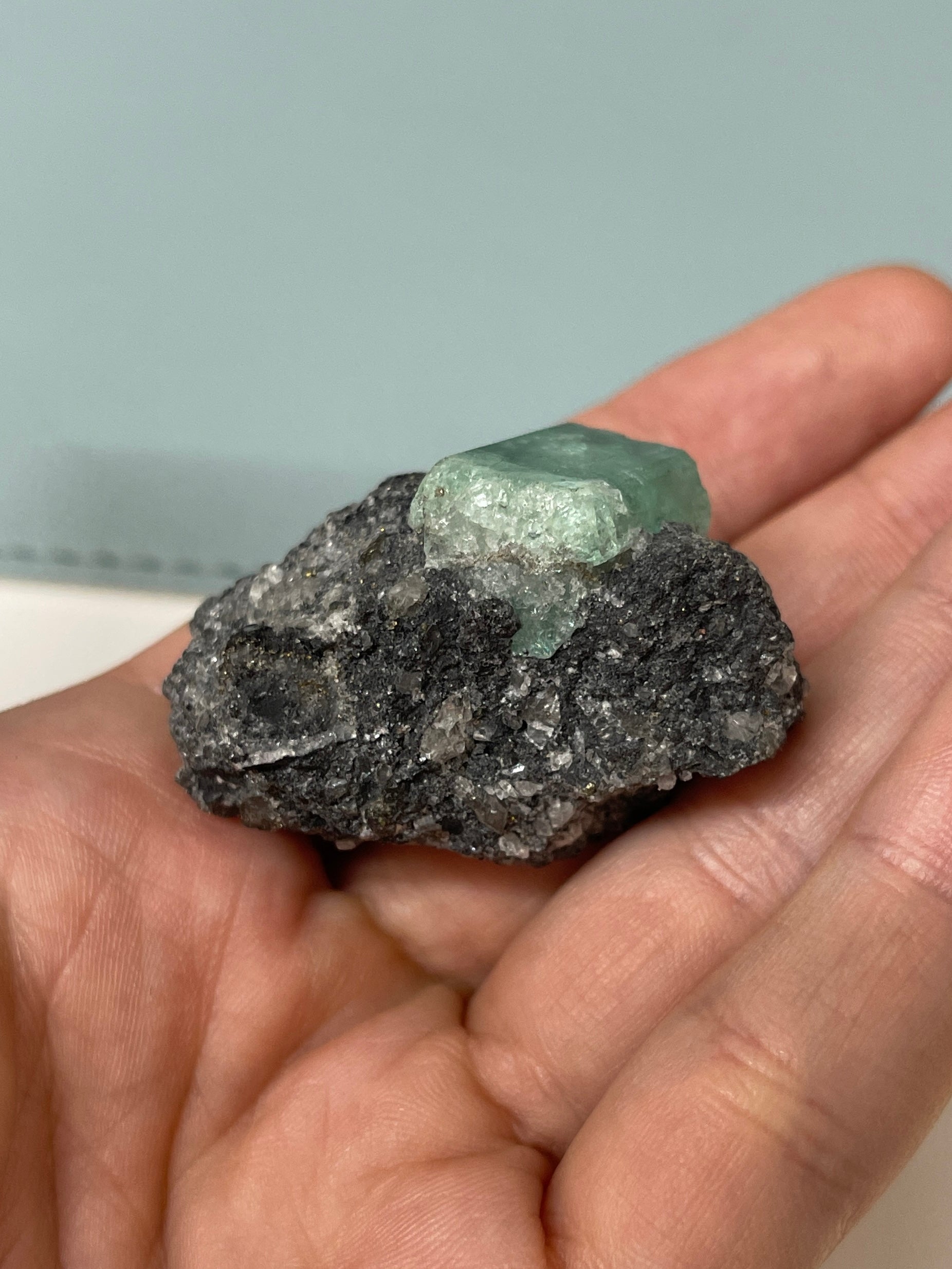 19mm x 14.87mm Single Cut Rough Colombian Emerald In Black Shale Matrix - JR Colombian Emeralds