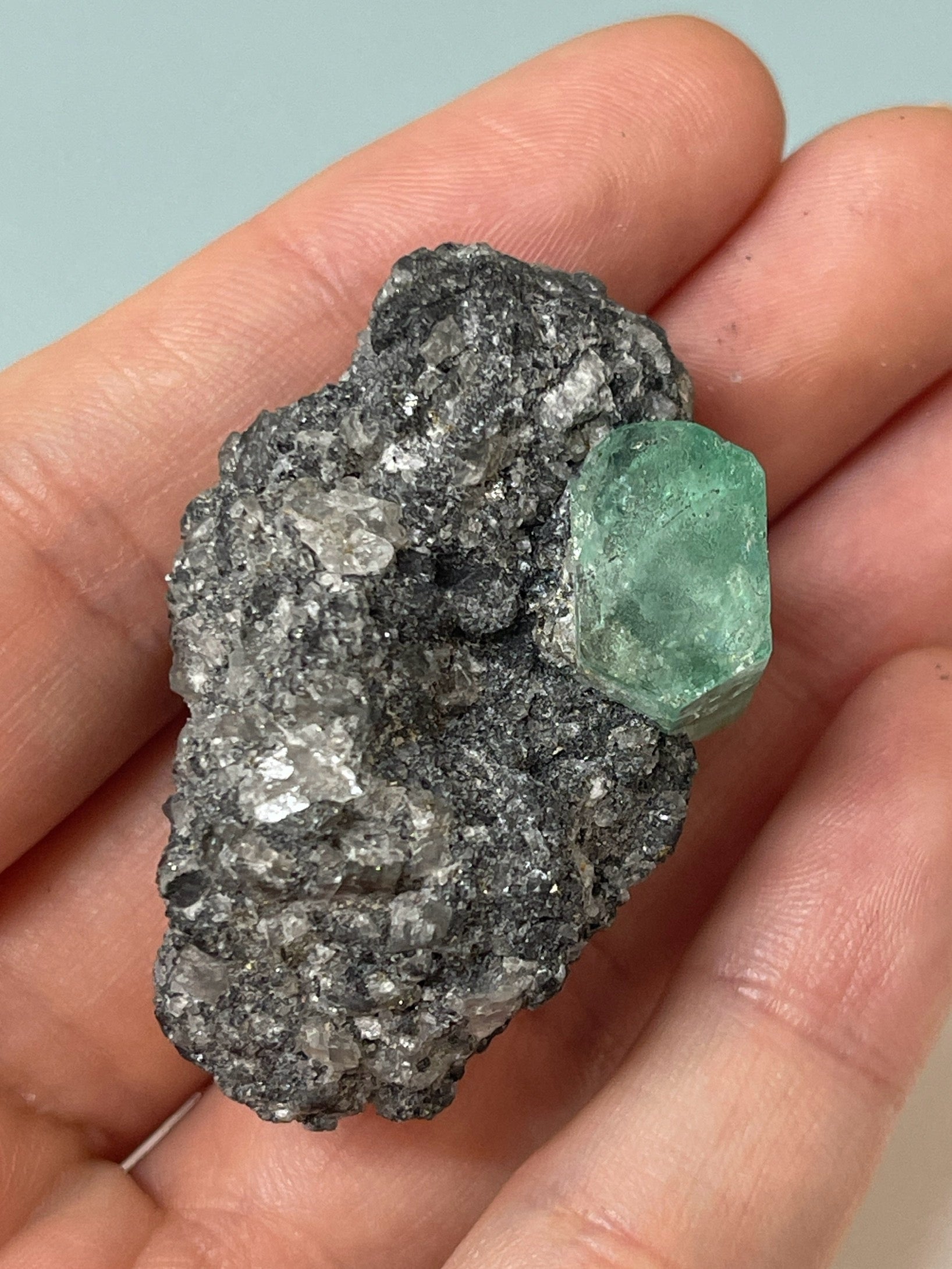 19mm x 14.87mm Single Cut Rough Colombian Emerald In Black Shale Matrix - JR Colombian Emeralds