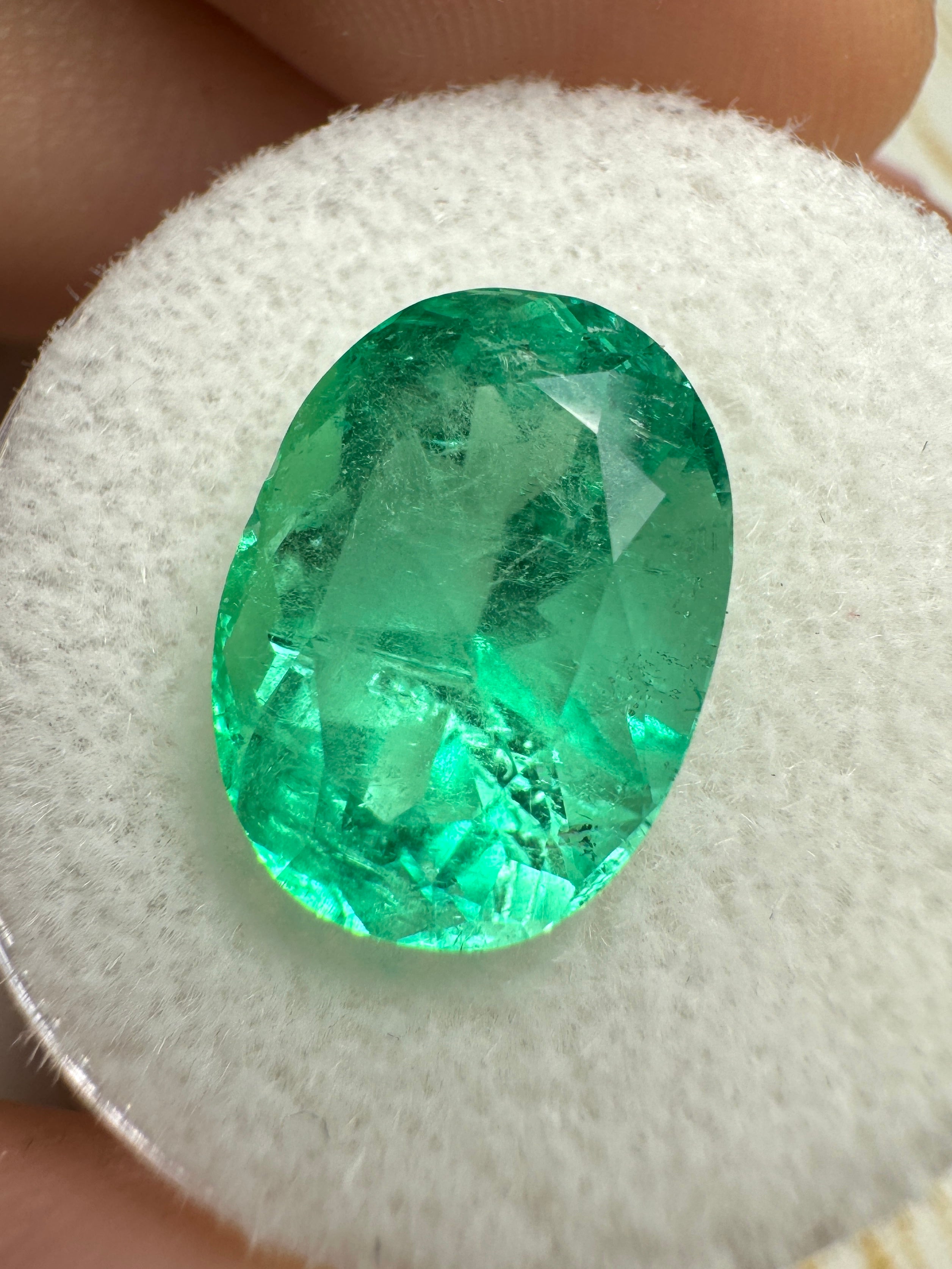 Medium green 6.40 carat natural Colombian emerald loose oval cut gemstone from JR Colombian Emeralds.