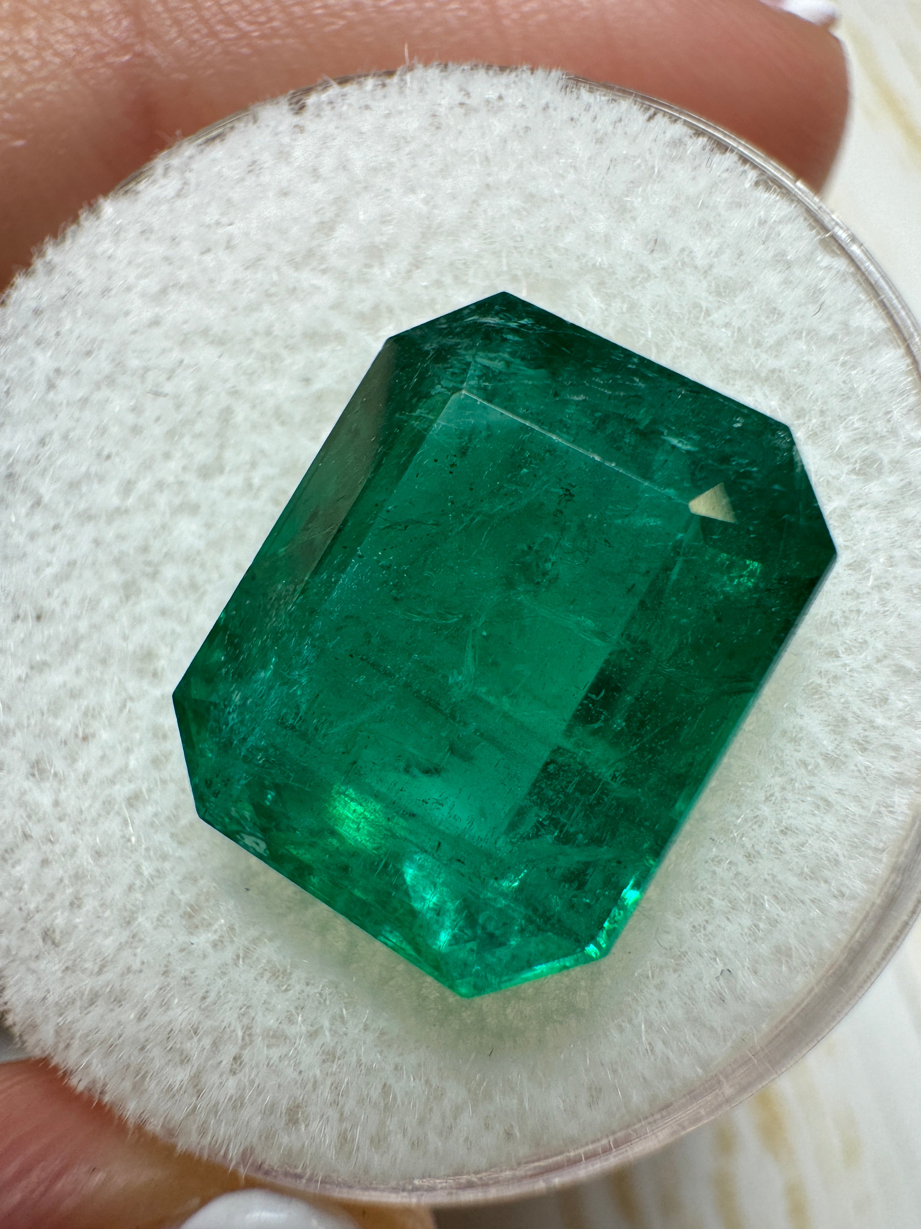 Deep green 8.60 carat Zambian emerald cut loose emerald from JR Colombian Emeralds, showcasing vibrant color and clarity.