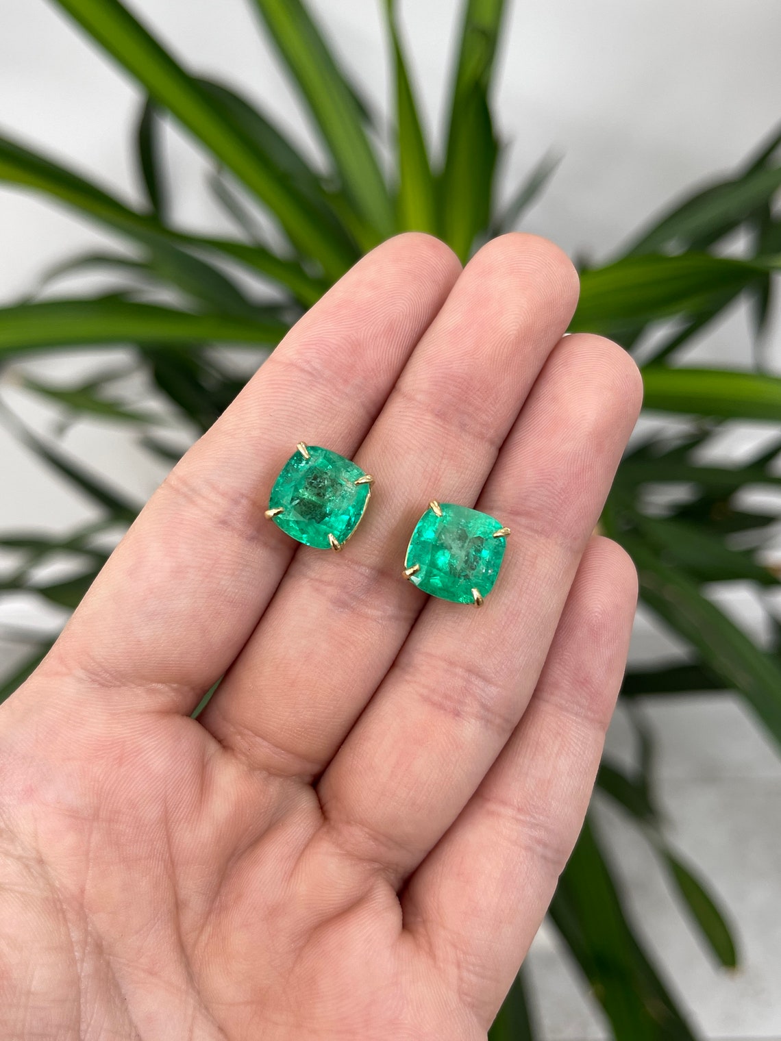 Colombian Emerald earrings with 11.80 carats AAA cushion cut stones in 18K gold with 4-claw prong settings.