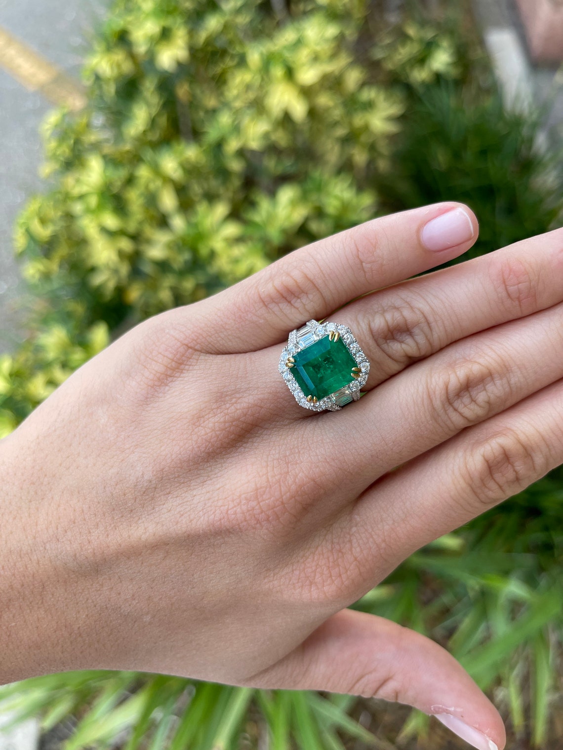 Emerald Cut Colombian Emerald Ring in Thin White and Yellow Gold Ring