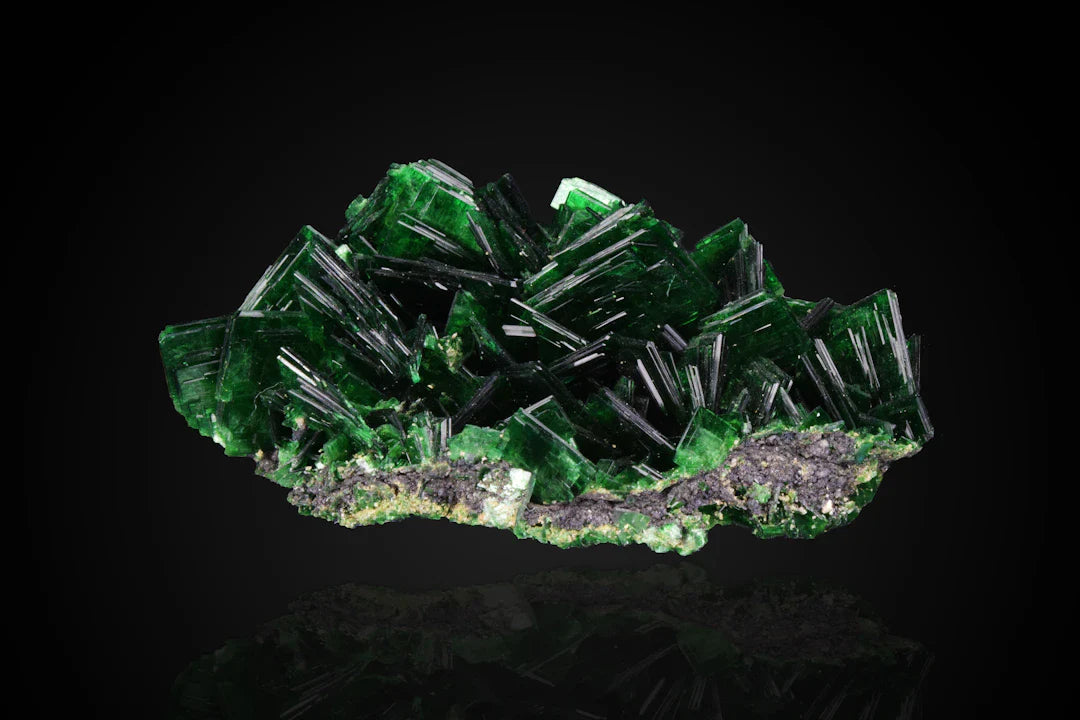 The Symbolism Behind Emeralds Love, Growth, and Renewal