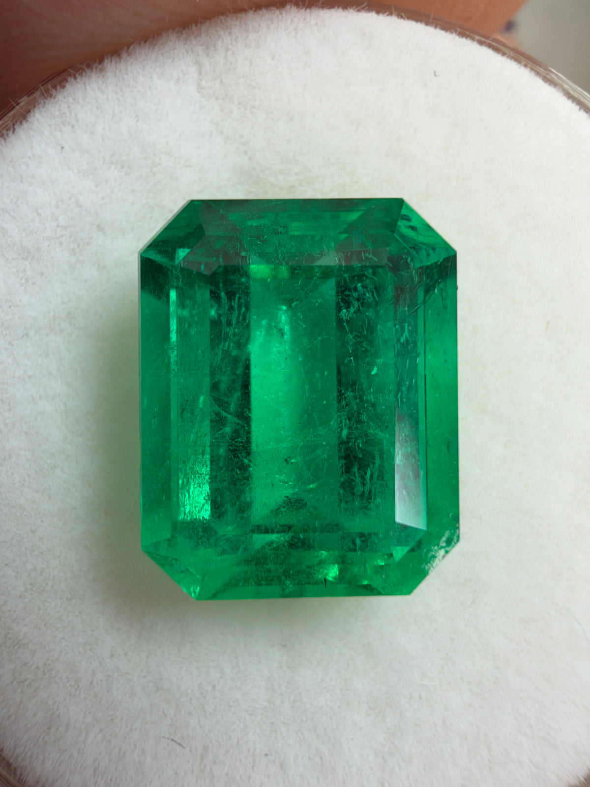 3.88 Carat 10.5x8 Classic Muzo Colombian Emerald-Emerald Cut