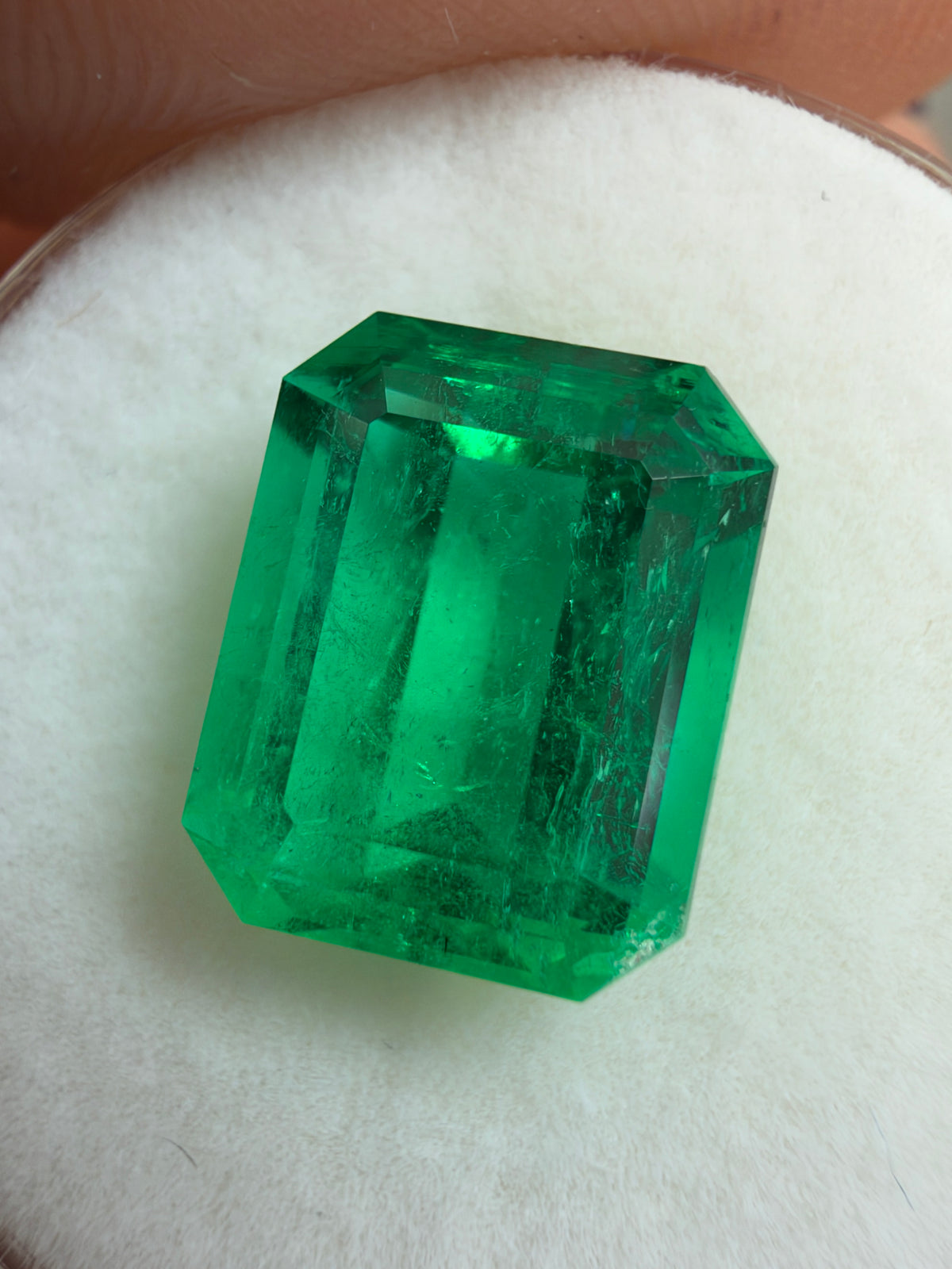3.88 Carat 10.5x8 Classic Muzo Colombian Emerald-Emerald Cut