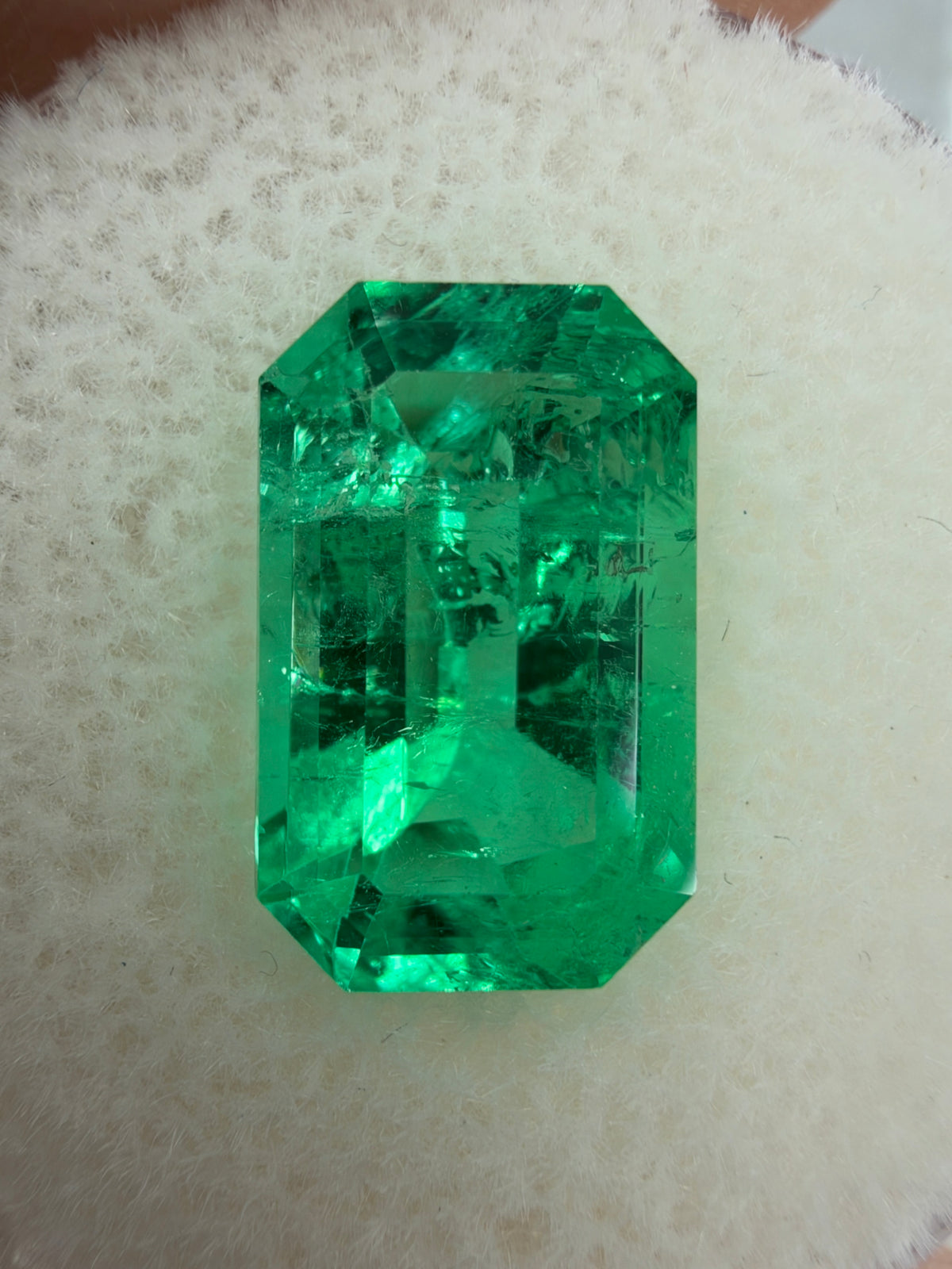 3.71 Carat 12x8 Gemmy Elongated Green Natural Loose Colombian Emerald- Emerald Cut