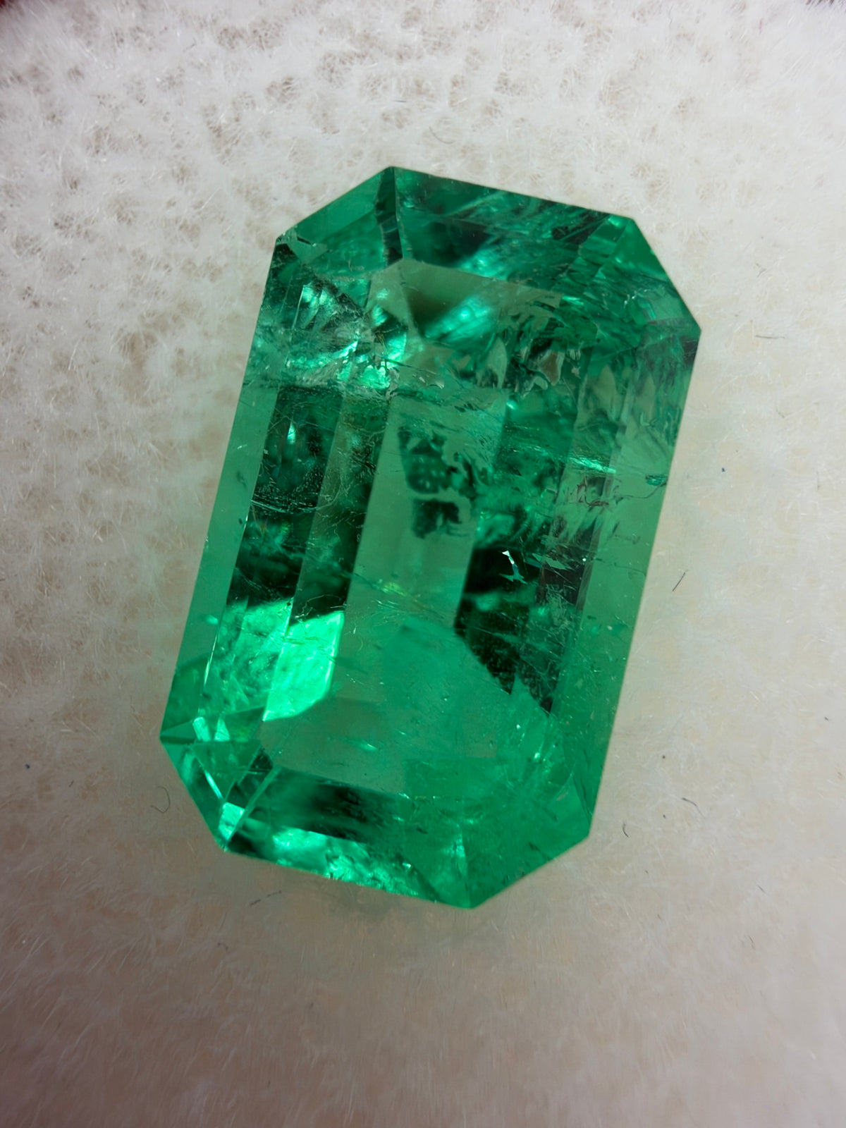 3.71 Carat 12x8 Gemmy Elongated Green Natural Loose Colombian Emerald- Emerald Cut