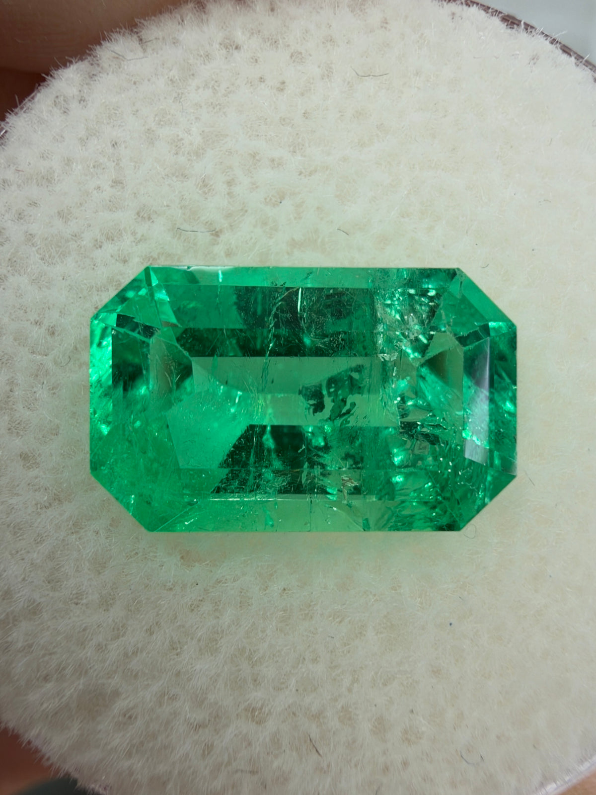 3.71 Carat 12x8 Gemmy Elongated Green Natural Loose Colombian Emerald- Emerald Cut