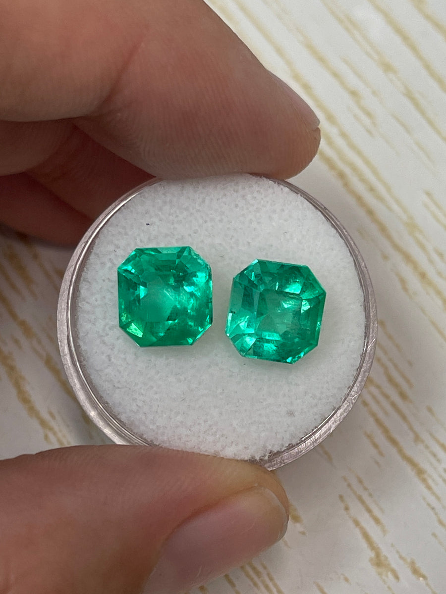 Asscher Cut Colombian Emeralds - 6.98 Total Carat Weight in Matching Green Loose Gems