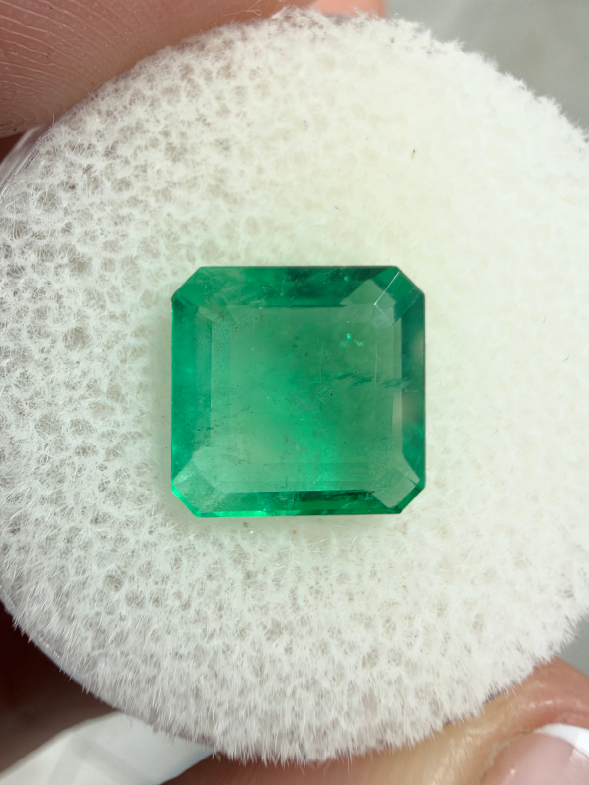 2.93 carat 9×9 Bi-Color Medium Light Green Loose Natural Zambian Emerald- Asscher Cut