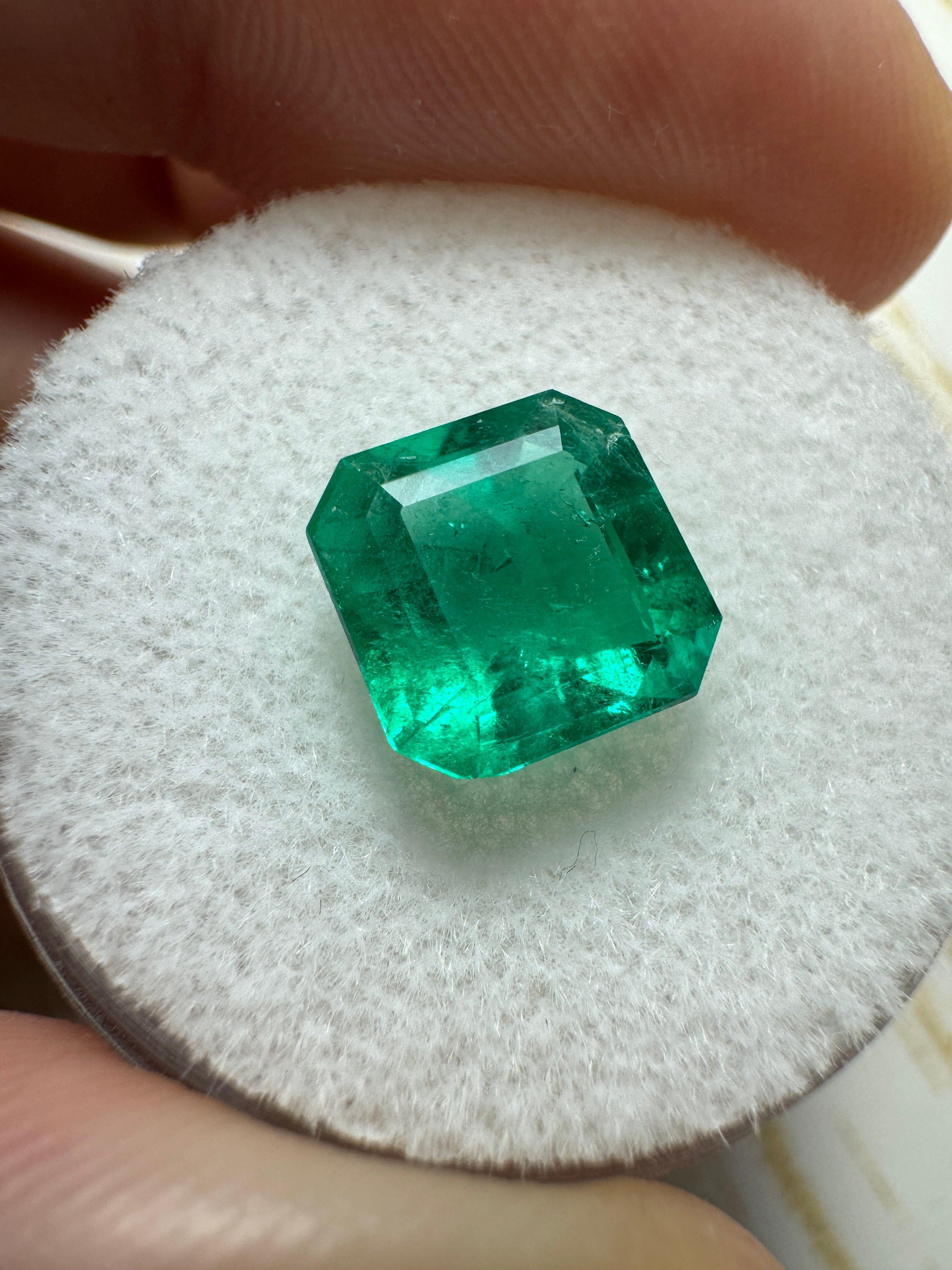 2.15 Carat 8.2x8.2 Muzo Vivid Green Natural Loose Colombian Emerald- Asscher Cut - JR Colombian Emeralds