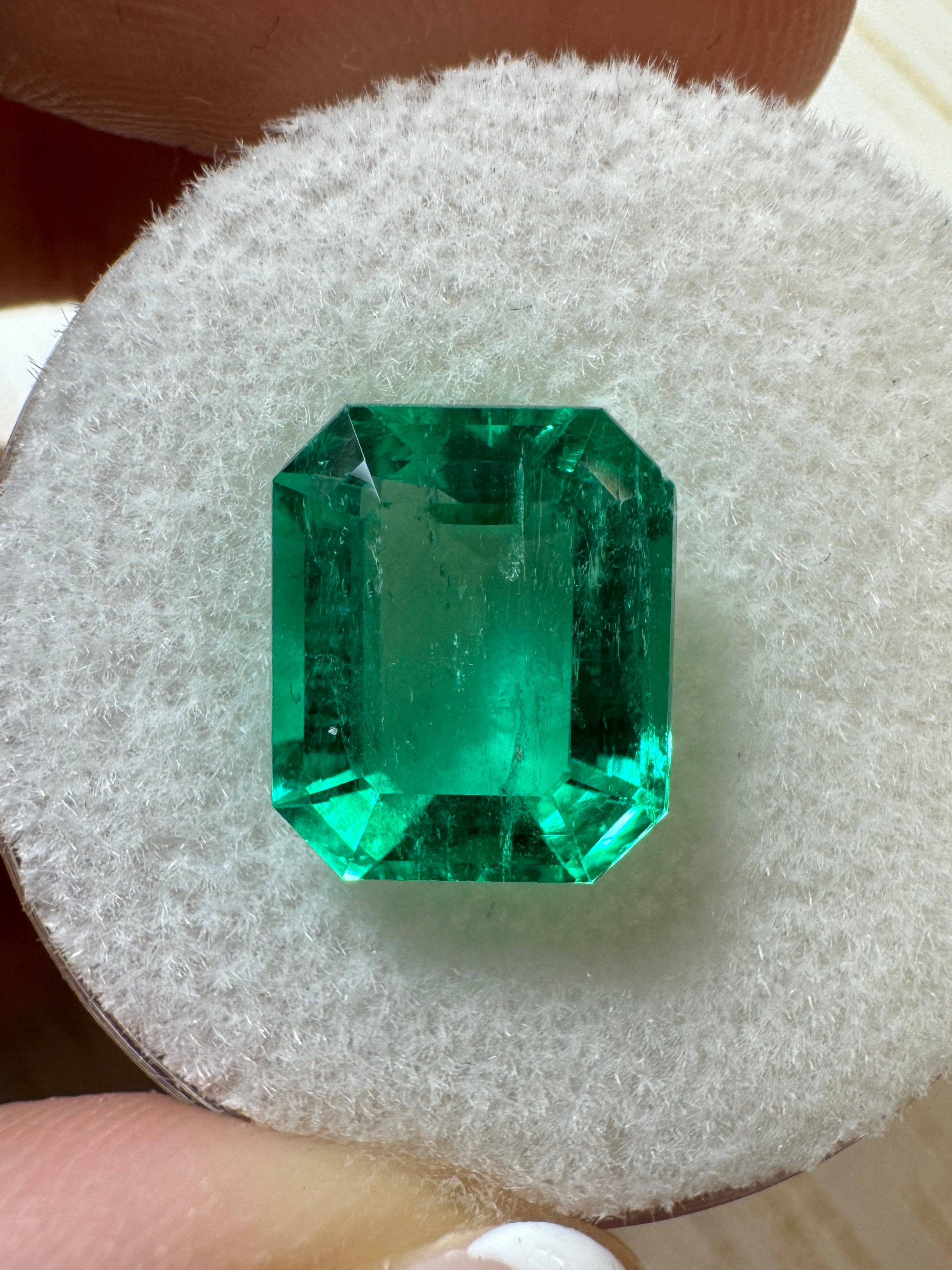 3.61 Carat 10x9 Vivacious Green Natural Loose Colombian Emerald-Emerald Cut - JR Colombian Emeralds