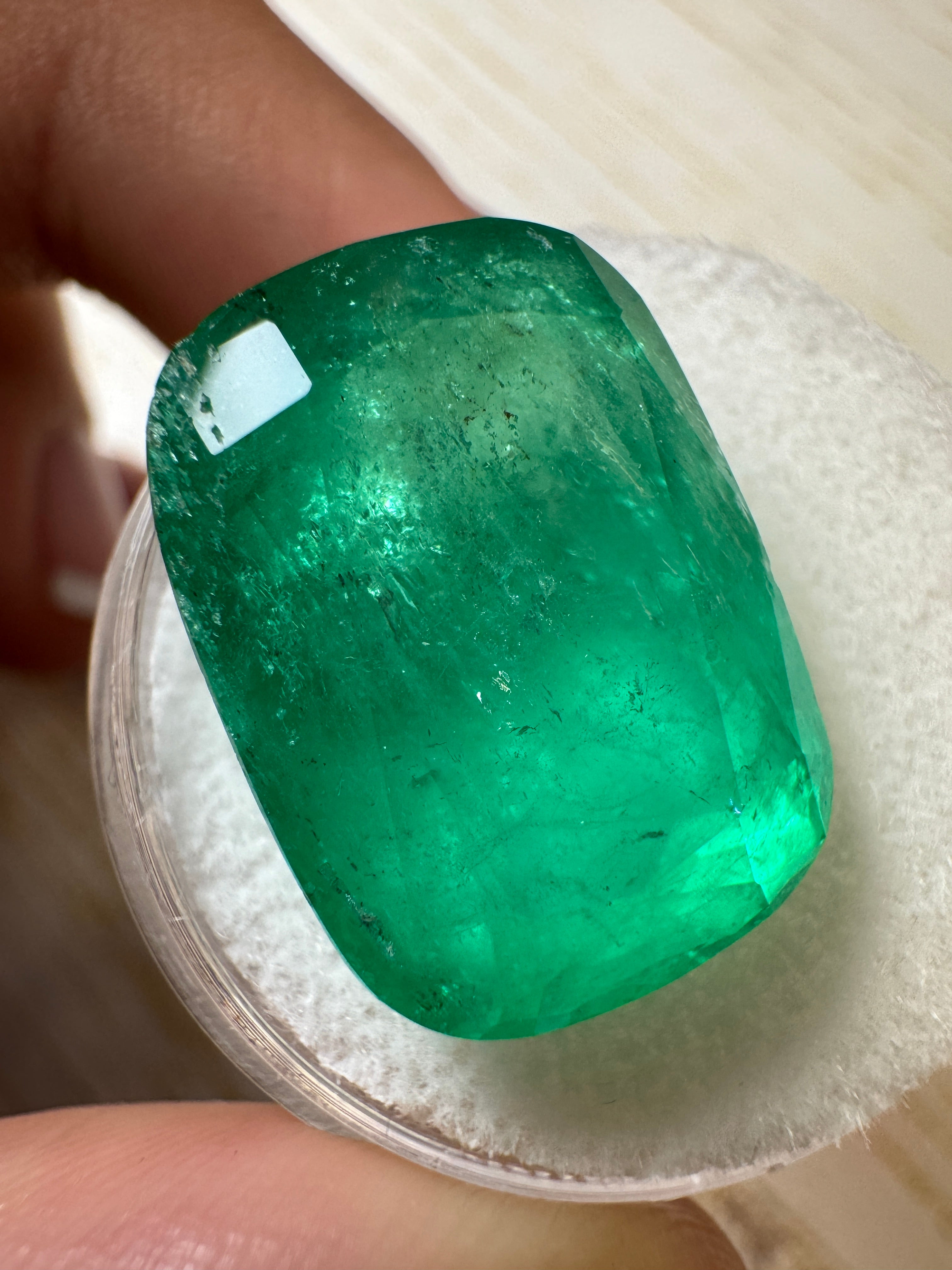 18.64 Carat 19x14 Elongated Green Natural Loose Colombian Emerald-Cushion Cut - JR Colombian Emeralds