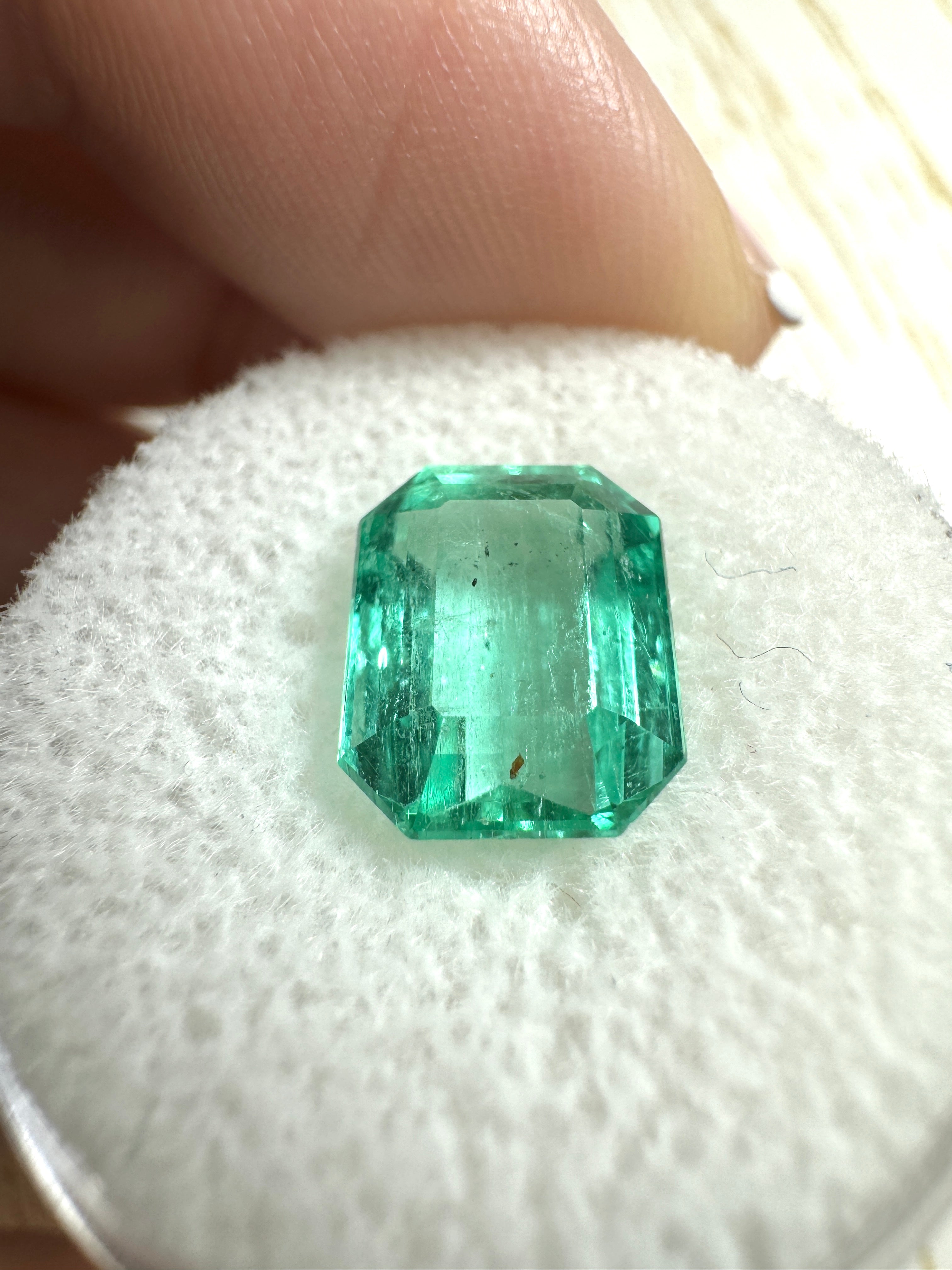 3.76 Carat 10.3x8.3 Transparent Green Natural Loose Colombian Emerald-Emerald Cut - JR Colombian Emeralds