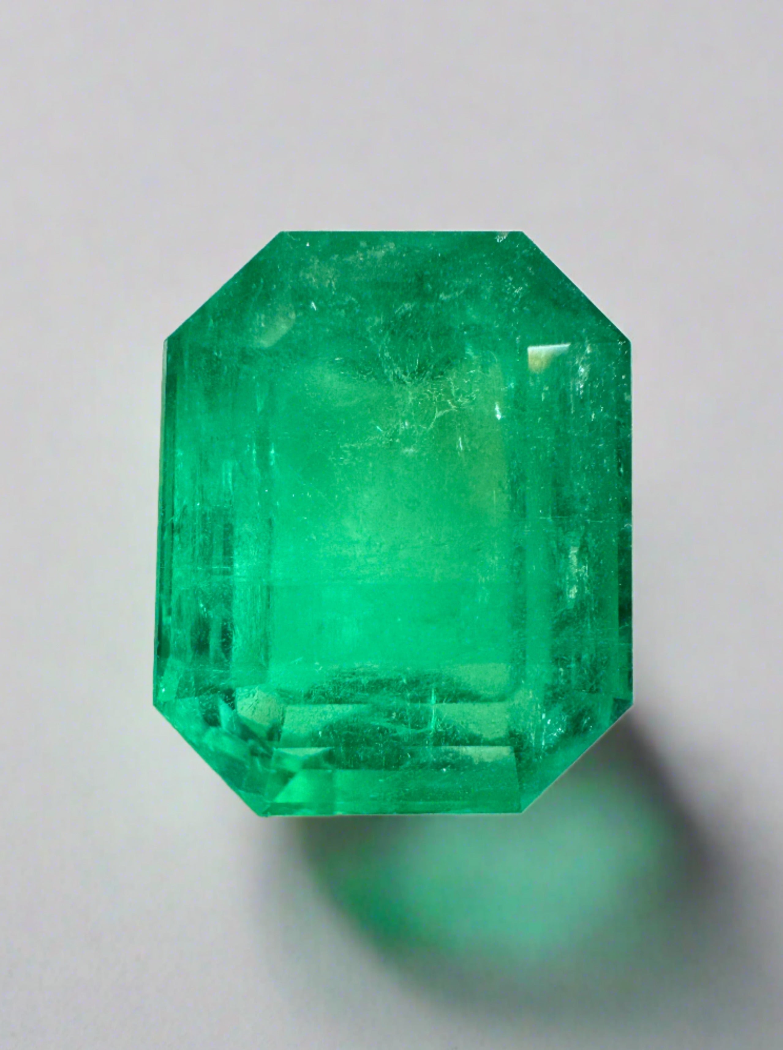 8.46 Carat 13x11 Classic Green Emerald Cut Loose Colombian Emerald-Emerald Cut - JR Colombian Emeralds