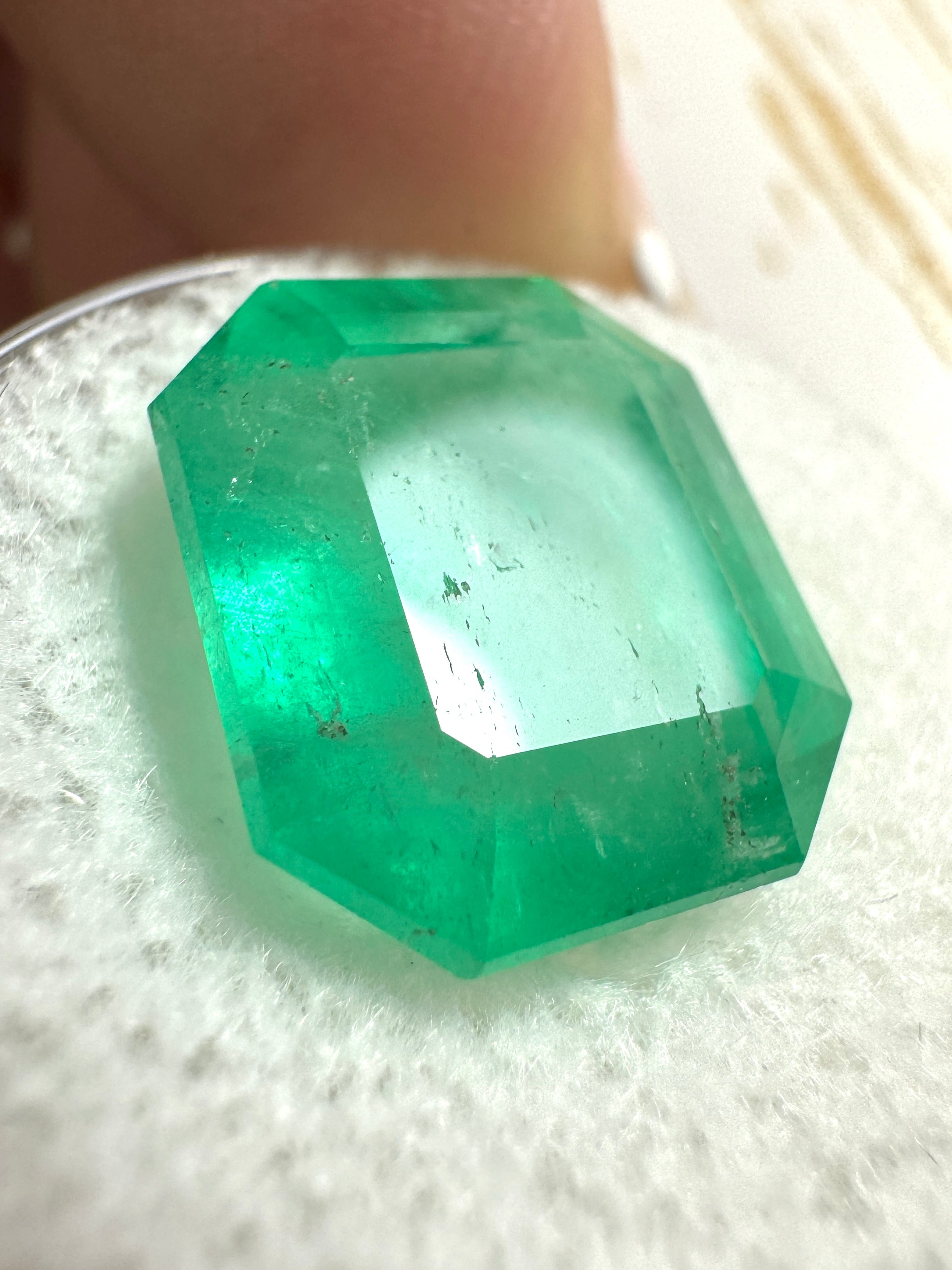 9.66 Carat 14x12 Medium Emerald Cut Loose Colombian Emerald-Emerald Cut - JR Colombian Emeralds