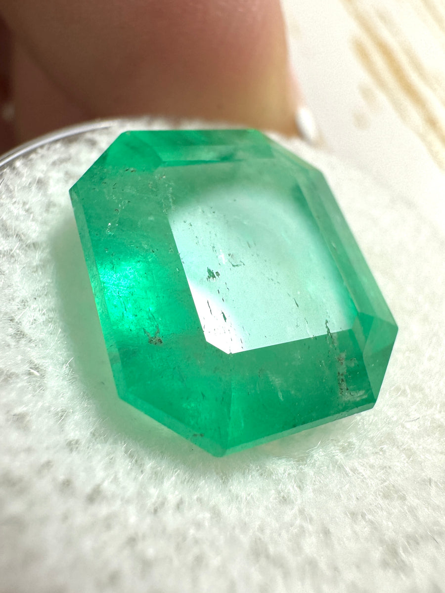 9.66 Carat 14x12 Medium Emerald Cut Loose Colombian Emerald-Emerald Cut