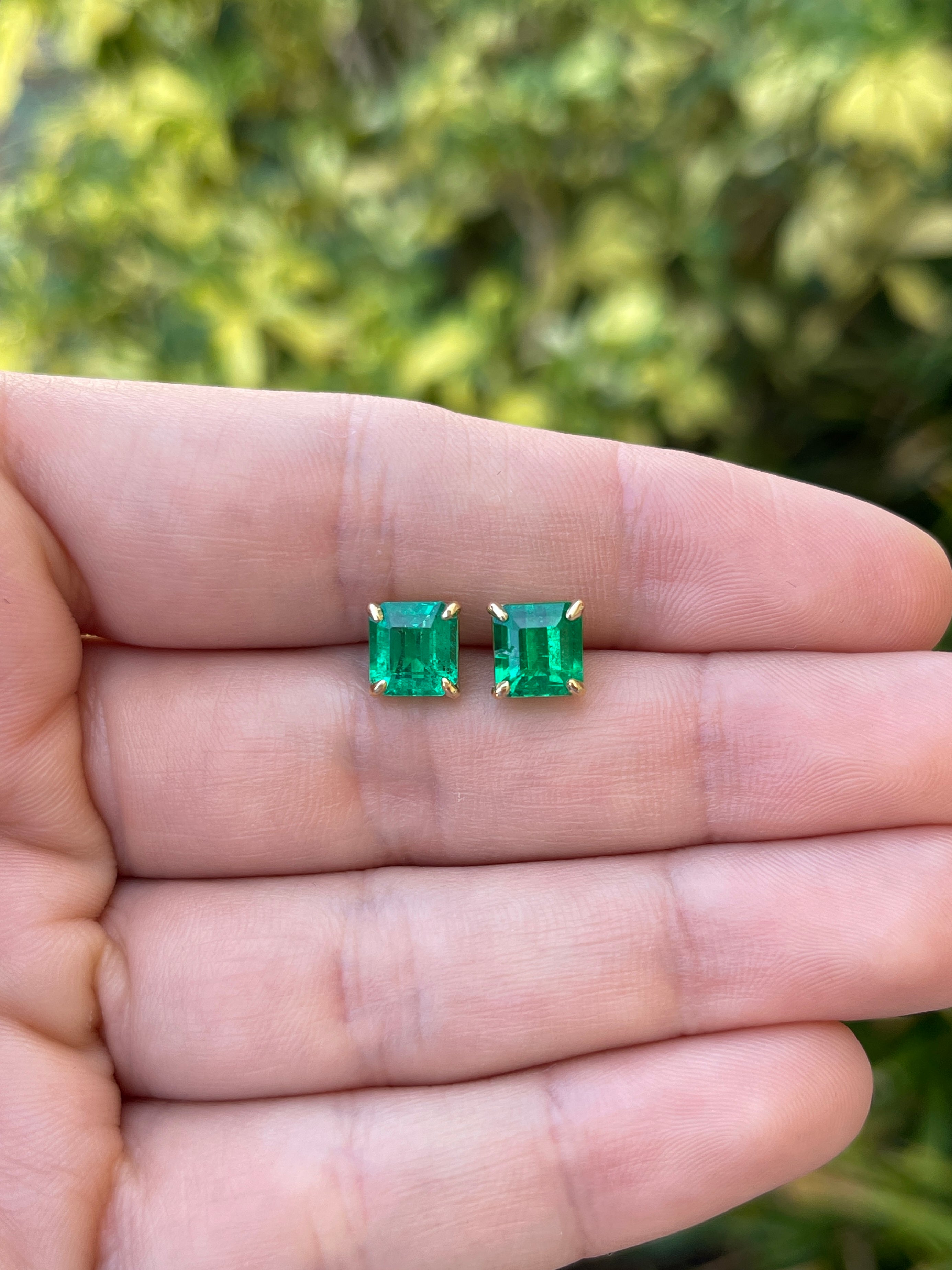 3.18tcw 7x7 AAA+ Muzo Green Asscher Cut Colombian Emerald Studs 18K - JR Colombian Emeralds