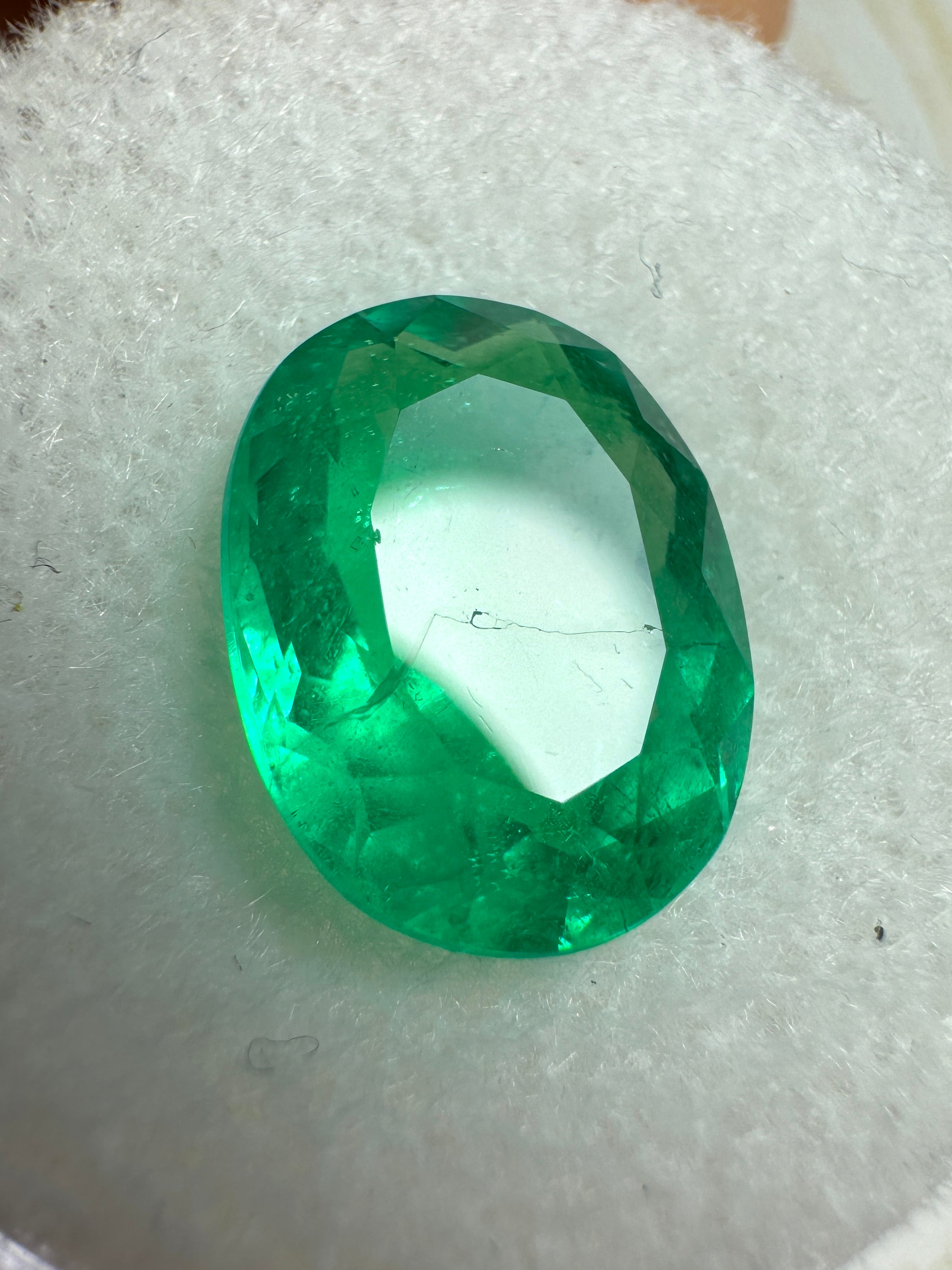 3.98 Carat 12x9 Captivating Green Natural Loose Colombian Emerald-Oval Cut - JR Colombian Emeralds