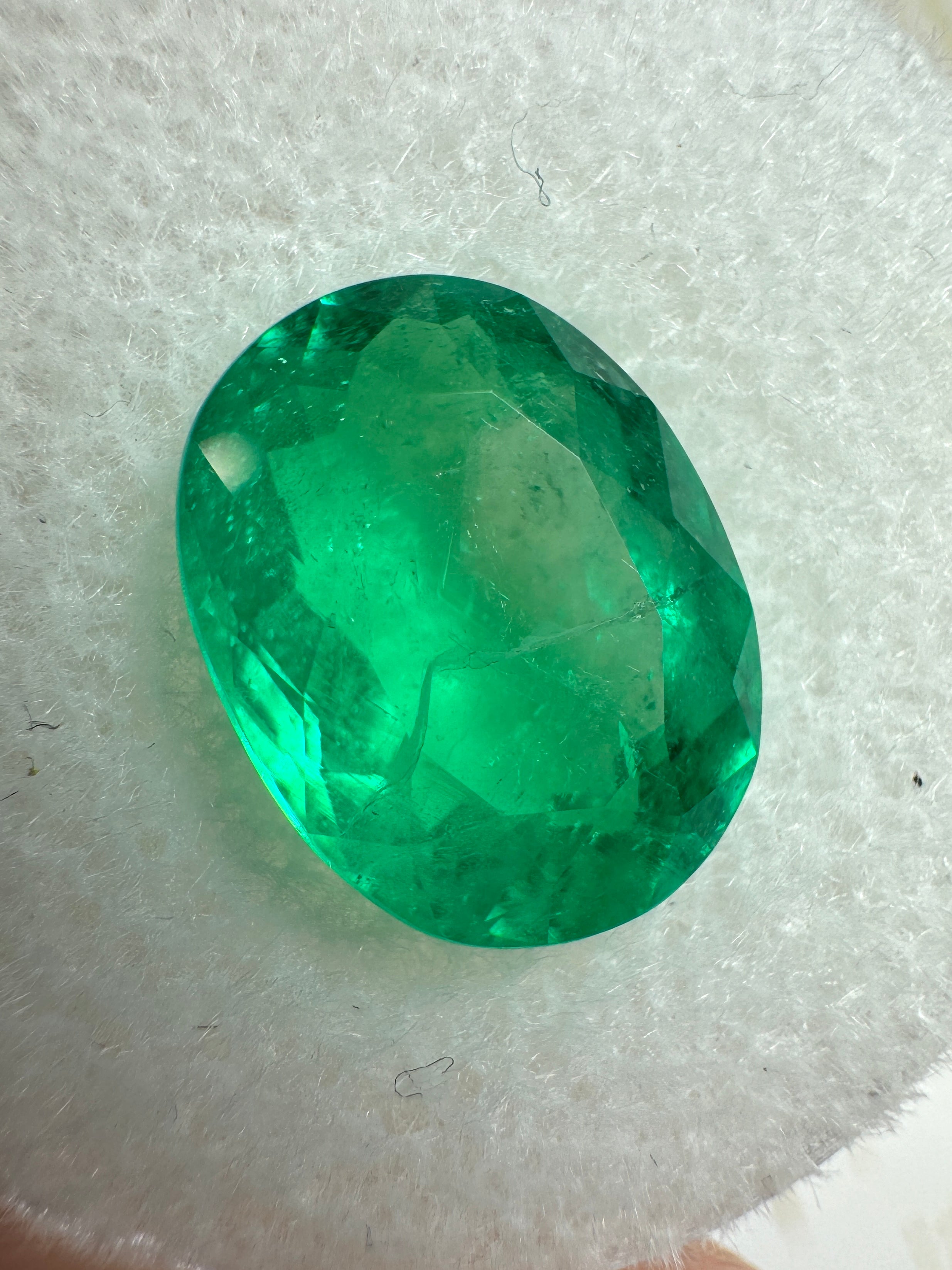 3.98 Carat 12x9 Captivating Green Natural Loose Colombian Emerald-Oval Cut - JR Colombian Emeralds