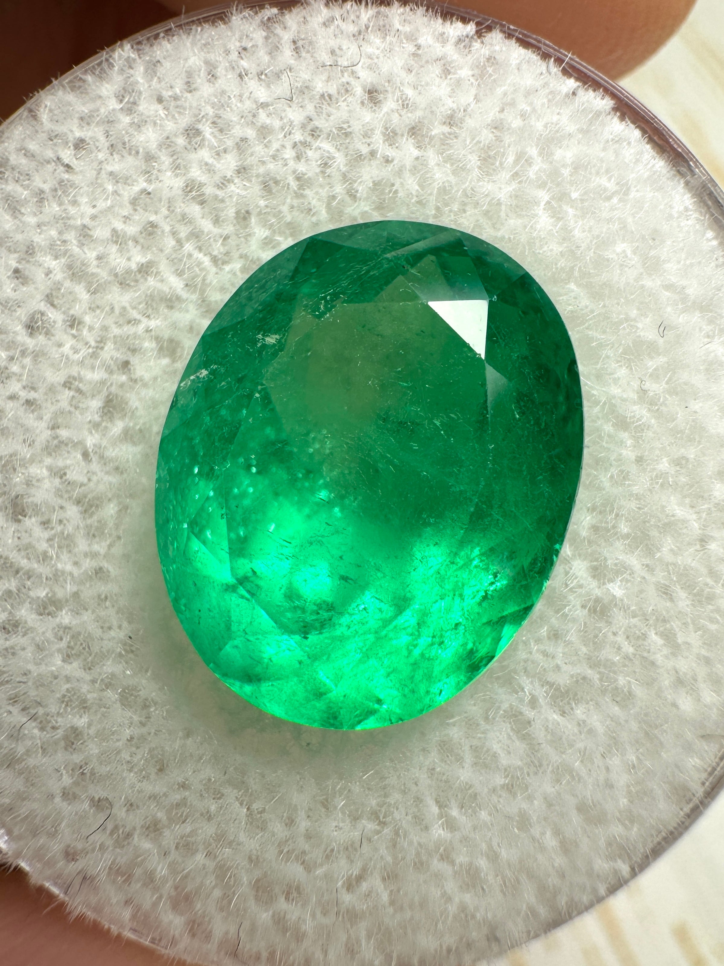 6.89 Carat 13.6x11 Muzo Yellowish Green Natural Loose Colombian Emerald-Oval Cut - JR Colombian Emeralds