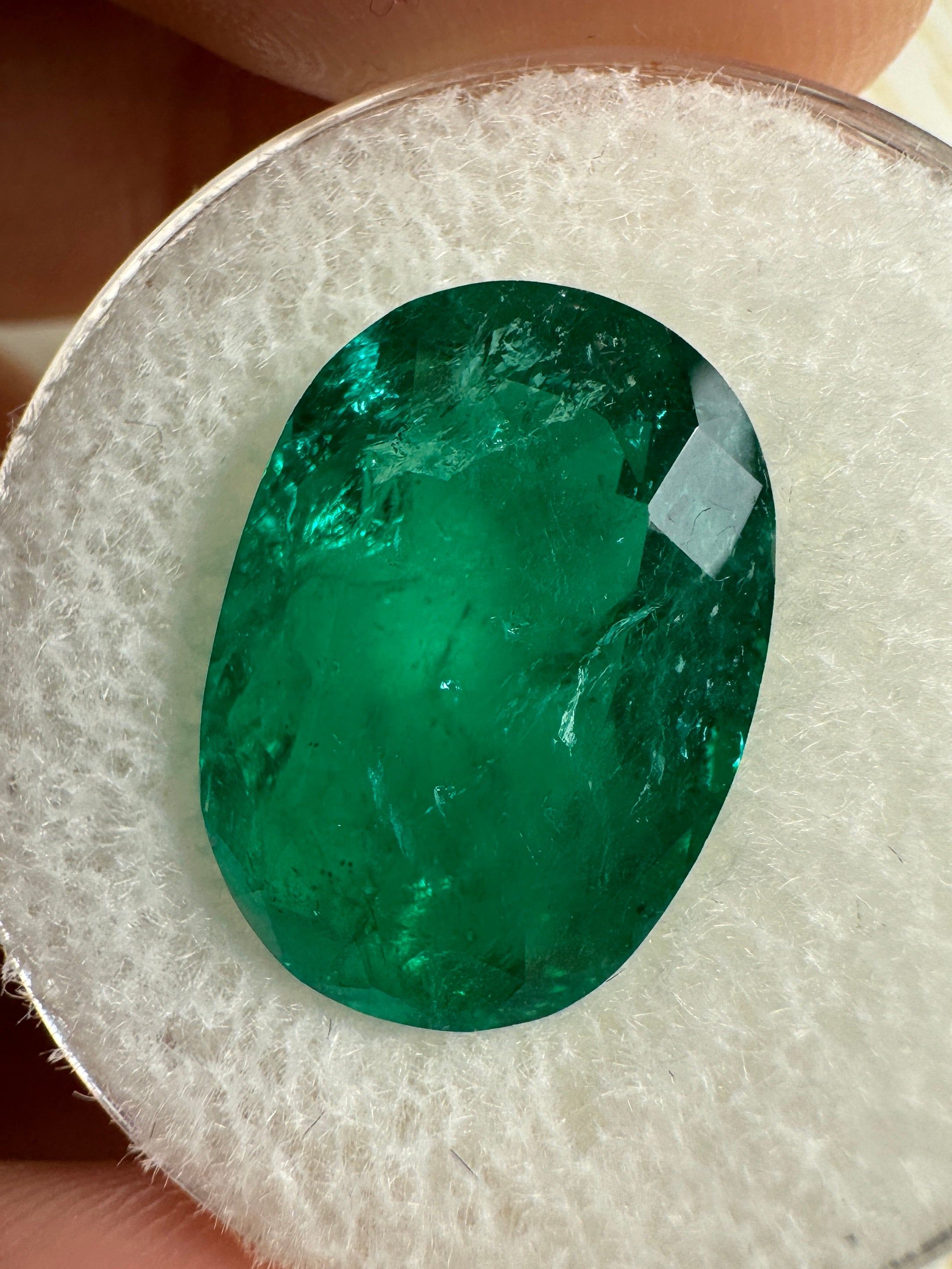 7.22 Carat 15.5x11 Vivid Muzo Green Natural Loose Colombian Emerald-Oval Cut - JR Colombian Emeralds