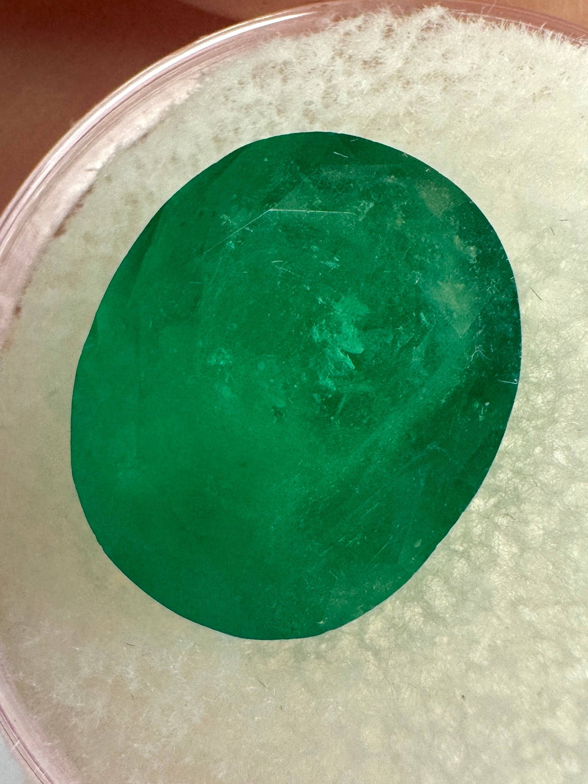 8.29 Carat 14x12 Deep Green Natural Loose Colombian Emerald-Oval Cut - JR Colombian Emeralds