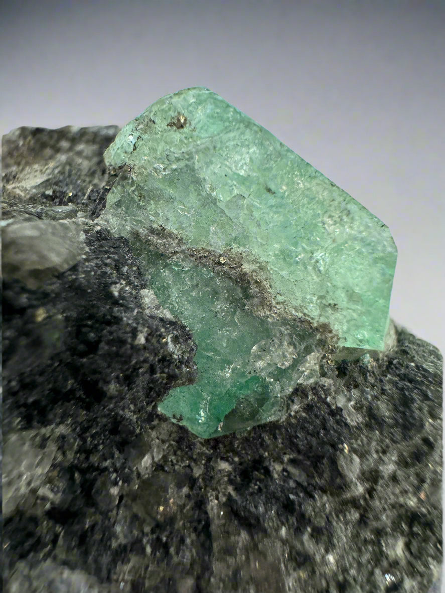 19mm x 14.87mm Single Cut Rough Colombian Emerald In Black Shale Matrix