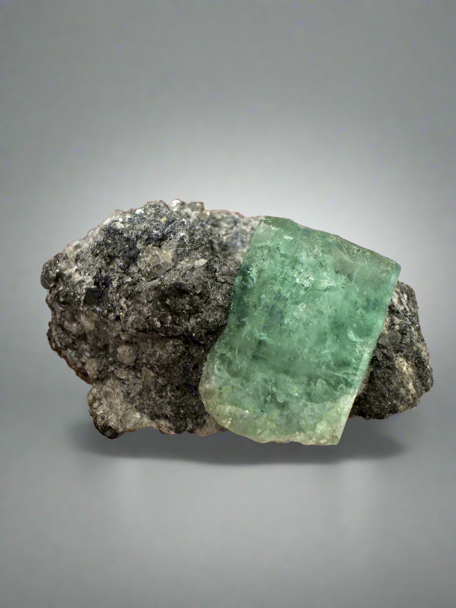 19mm x 14.87mm Single Cut Rough Colombian Emerald In Black Shale Matrix - JR Colombian Emeralds