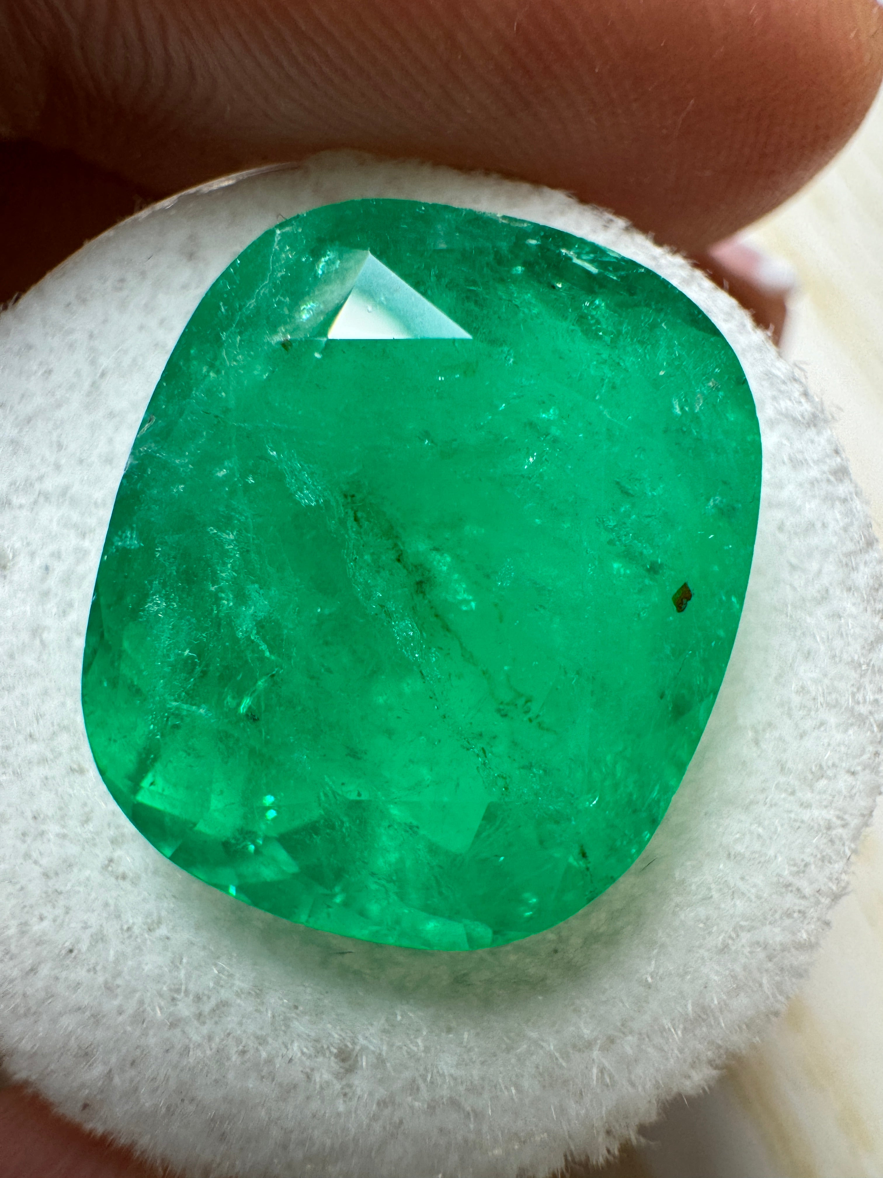 Large 12.81 carat cushion cut Colombian emerald from JR Colombian Emeralds, vibrant green, natural loose gemstone.