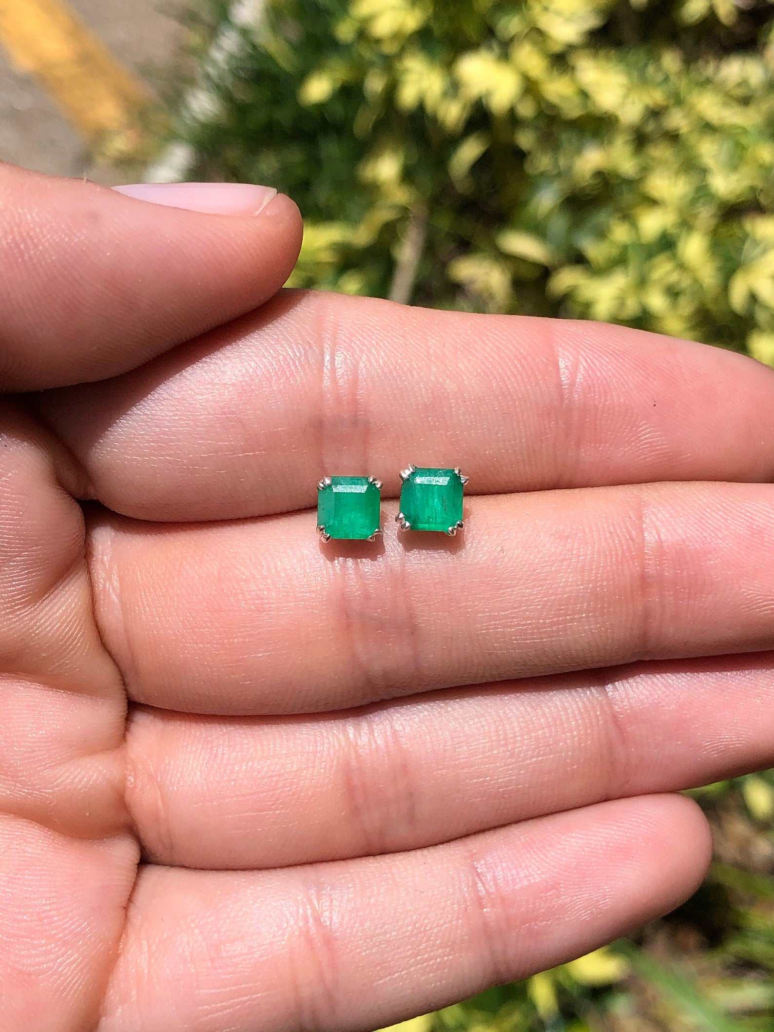 1.20tcw Double Prong Natural Dark Green Emerald Earrings Silver 925