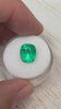 3.84 Carat 10.4x9 Intense Medium Green Natural Loose Colombian Emerald-Cushion Cut