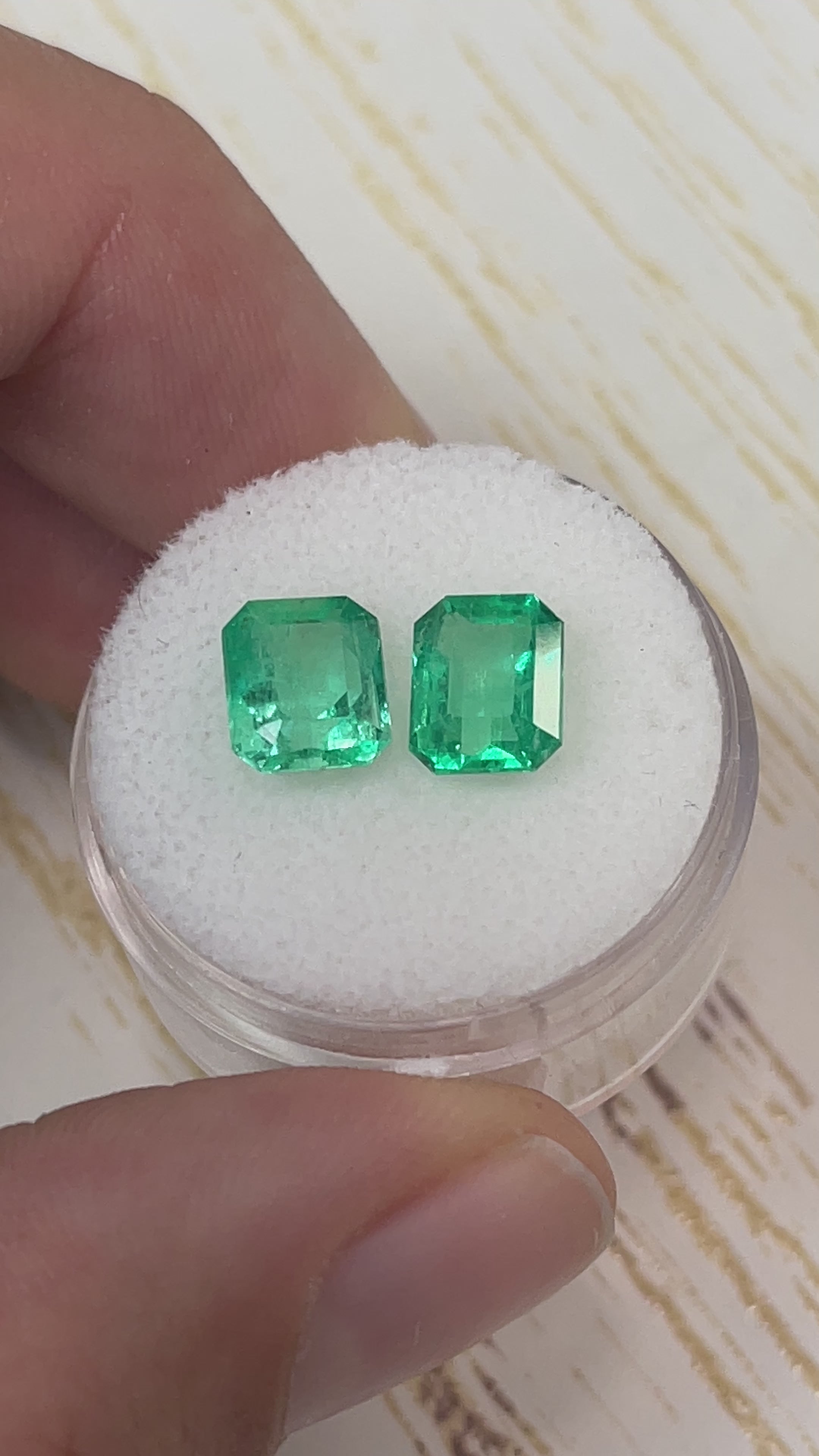 3.73tcw 8x6.5 Matching Green Loose Colombian Emeralds-Emerald Cut