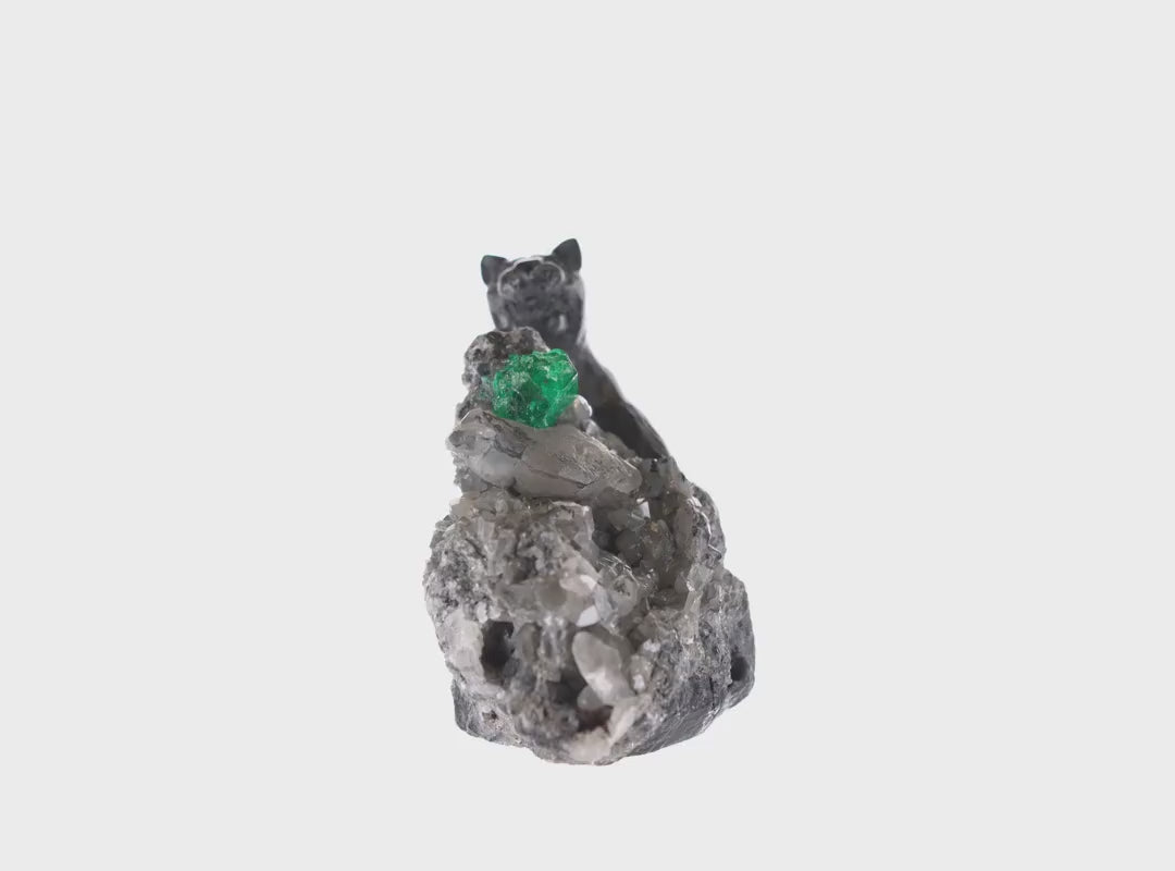 Colombian Emerald Collectors Items Black Panther Rough Crystal Sculpture