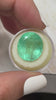 21.95 Carat 18x16 Minty Green Natural Loose Colombian Emerald-Oval Cut