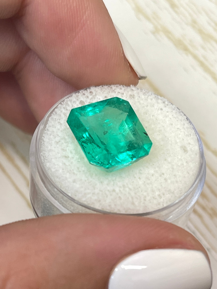 Stunning 8.10 Carat Emerald - Vibrant Green - Loose Gem