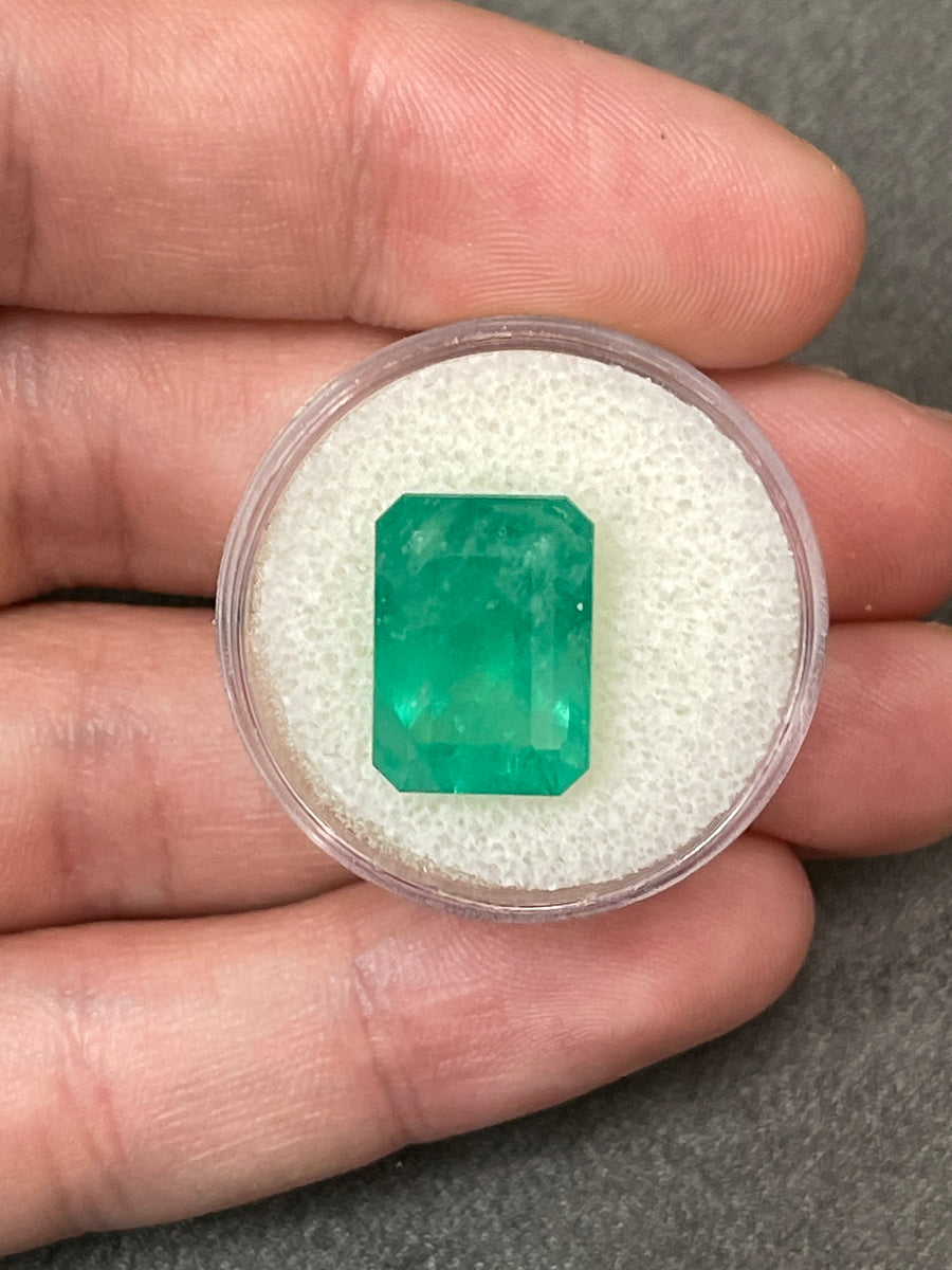 8.84 Carat Green Colombian Emerald - Genuine Loose Gemstone
