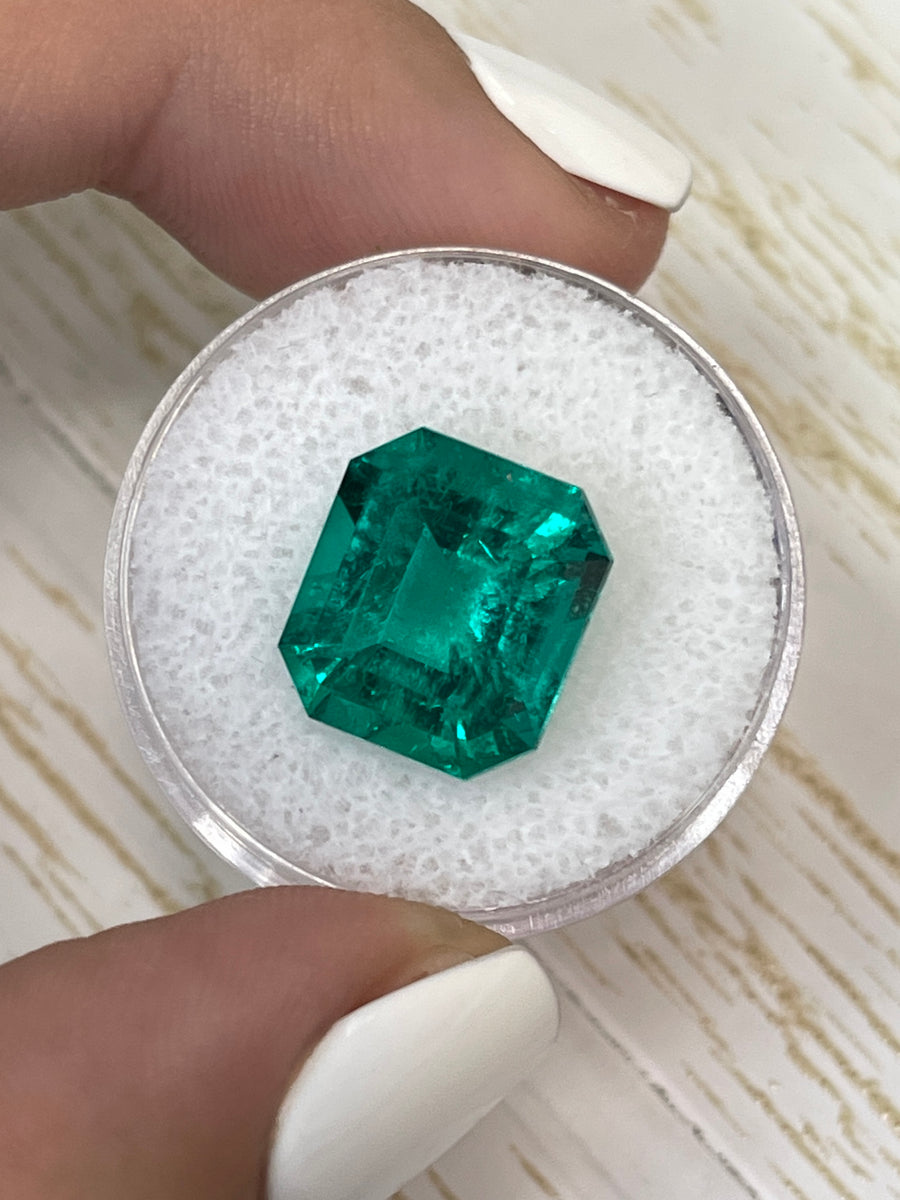 7.52 Carat 13x12 Investment Quality Minor Oil Natural Loose Colombian Emerald- Emerald Cut